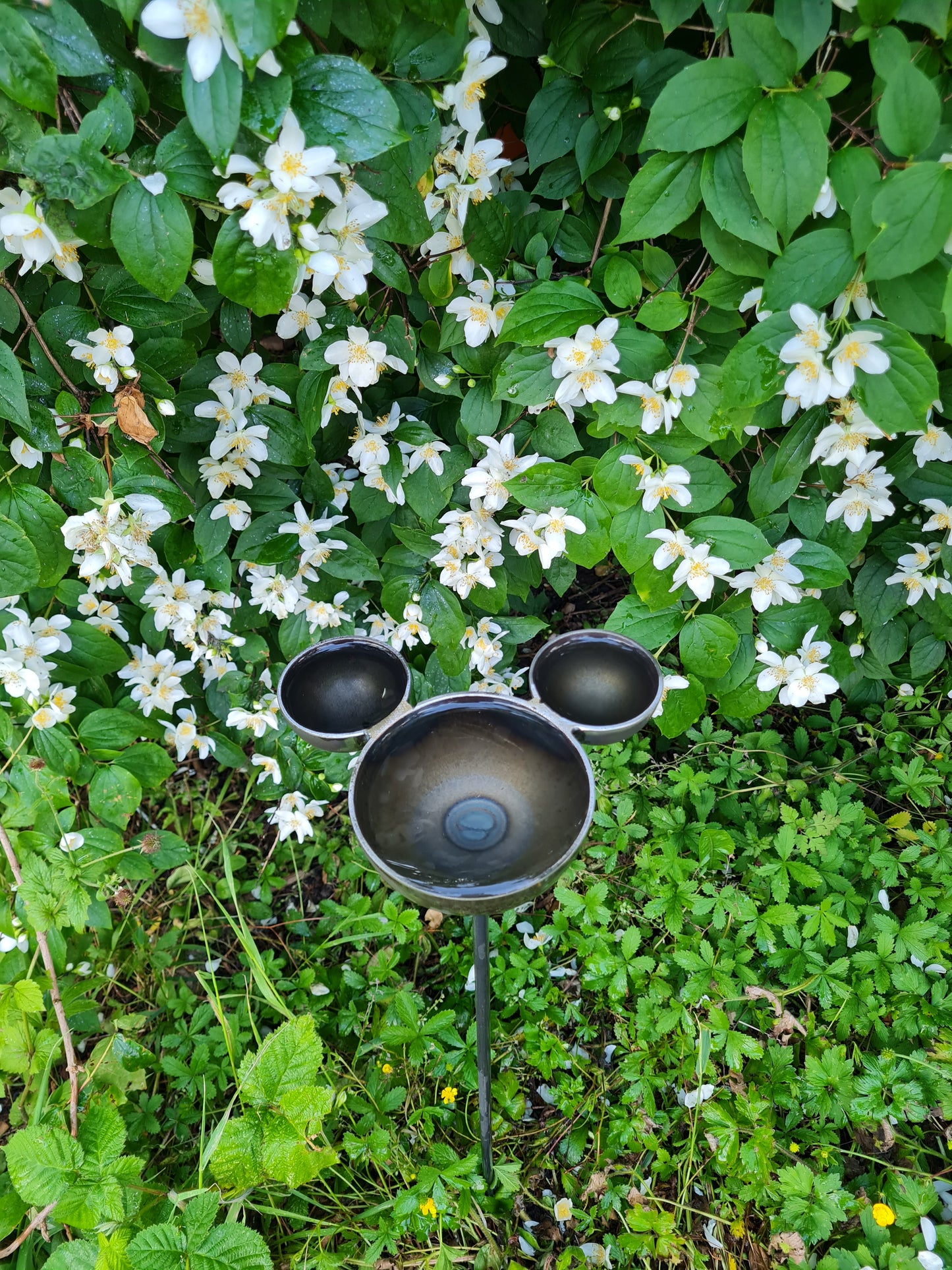 Mickey Mouse Rain Catcher Waterfall | Outdoor Garden Water Feature | Decorative Rain Catching Ornament | Garden Water Fountain