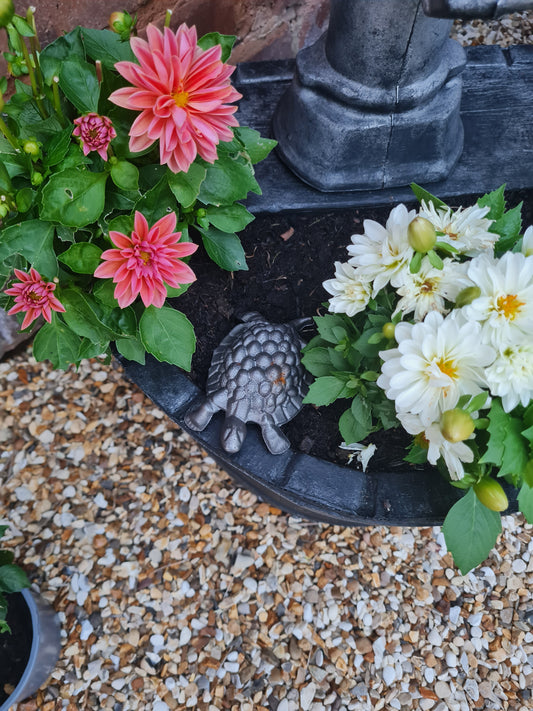 Cast Iron Garden Tortoise Ornament | Rustic Metal Tortoise Statue | Outdoor Garden Art