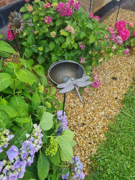 Dragonfly Rain Catcher | Outdoor Garden Water Feature | Decorative Rain Catching Ornament | Bird Bath