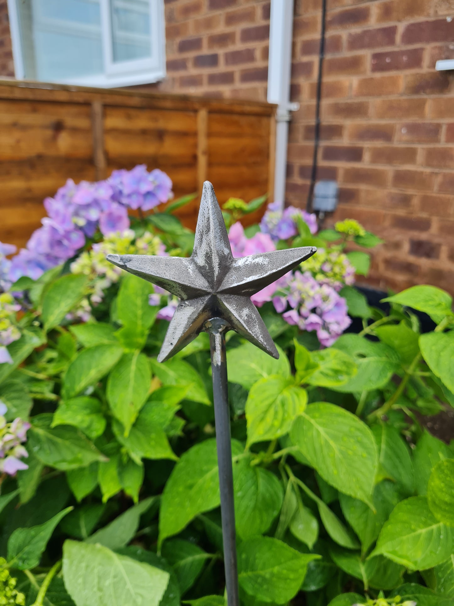 Star Topped Plant Support Stakes | Garden Plant Support | Decorative plant Stakes | Metal Garden Art