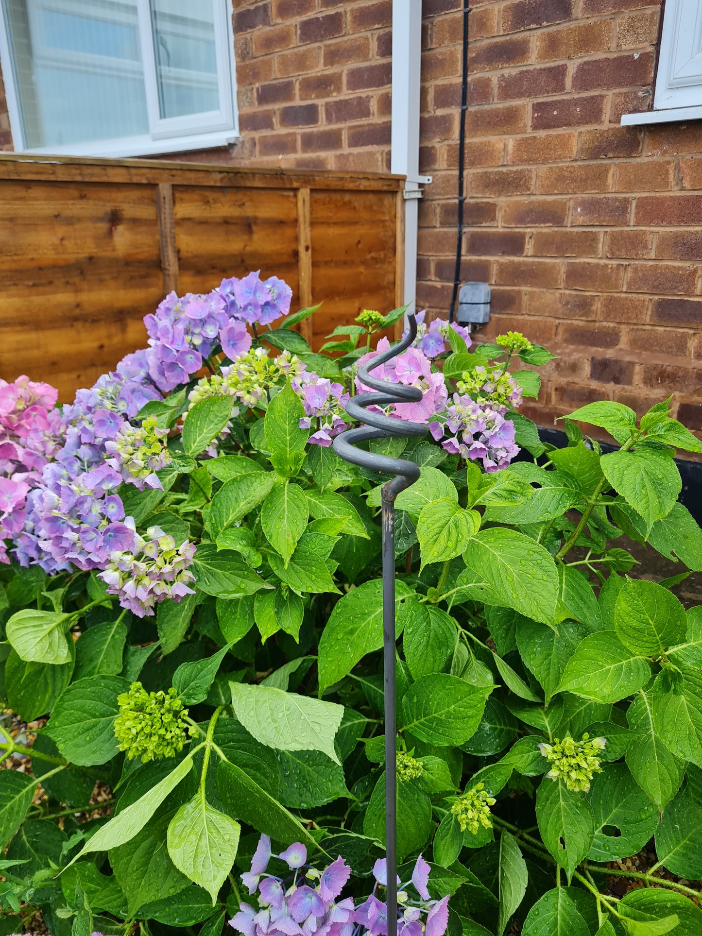 Pig Tail Plant Support Stakes | Garden Plant Support | Decorative plant Stakes | Metal Garden Art