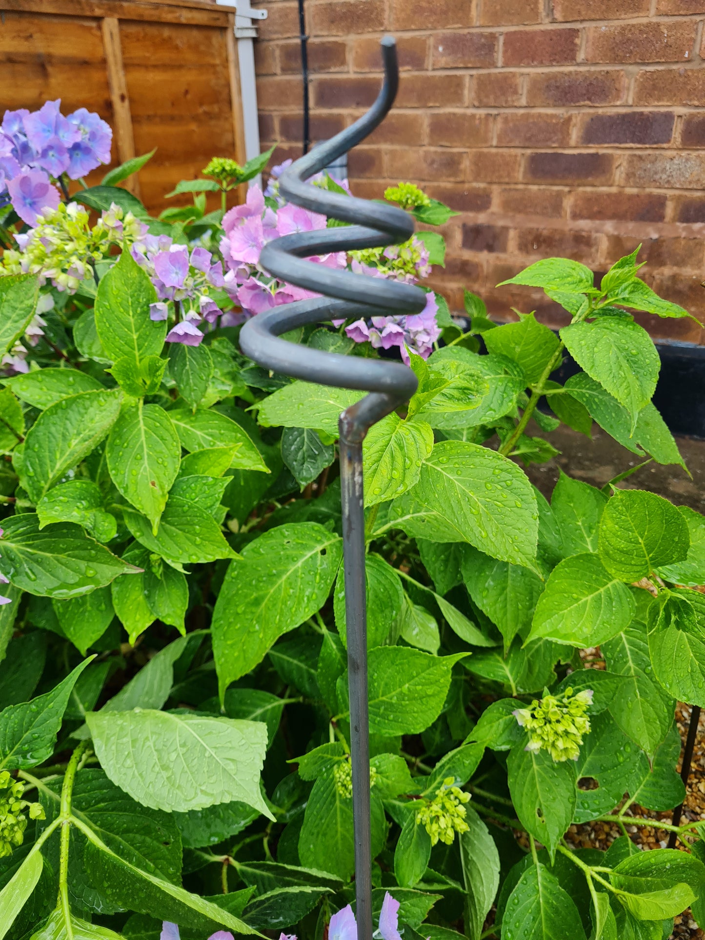 Pig Tail Plant Support Stakes | Garden Plant Support | Decorative plant Stakes | Metal Garden Art