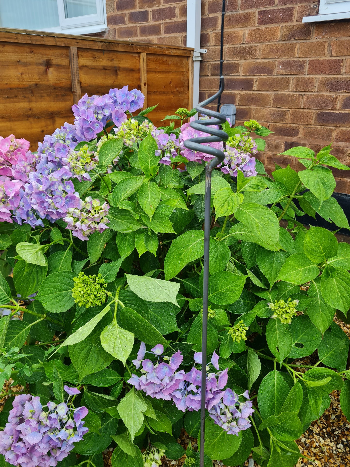 Pig Tail Plant Support Stakes | Garden Plant Support | Decorative plant Stakes | Metal Garden Art