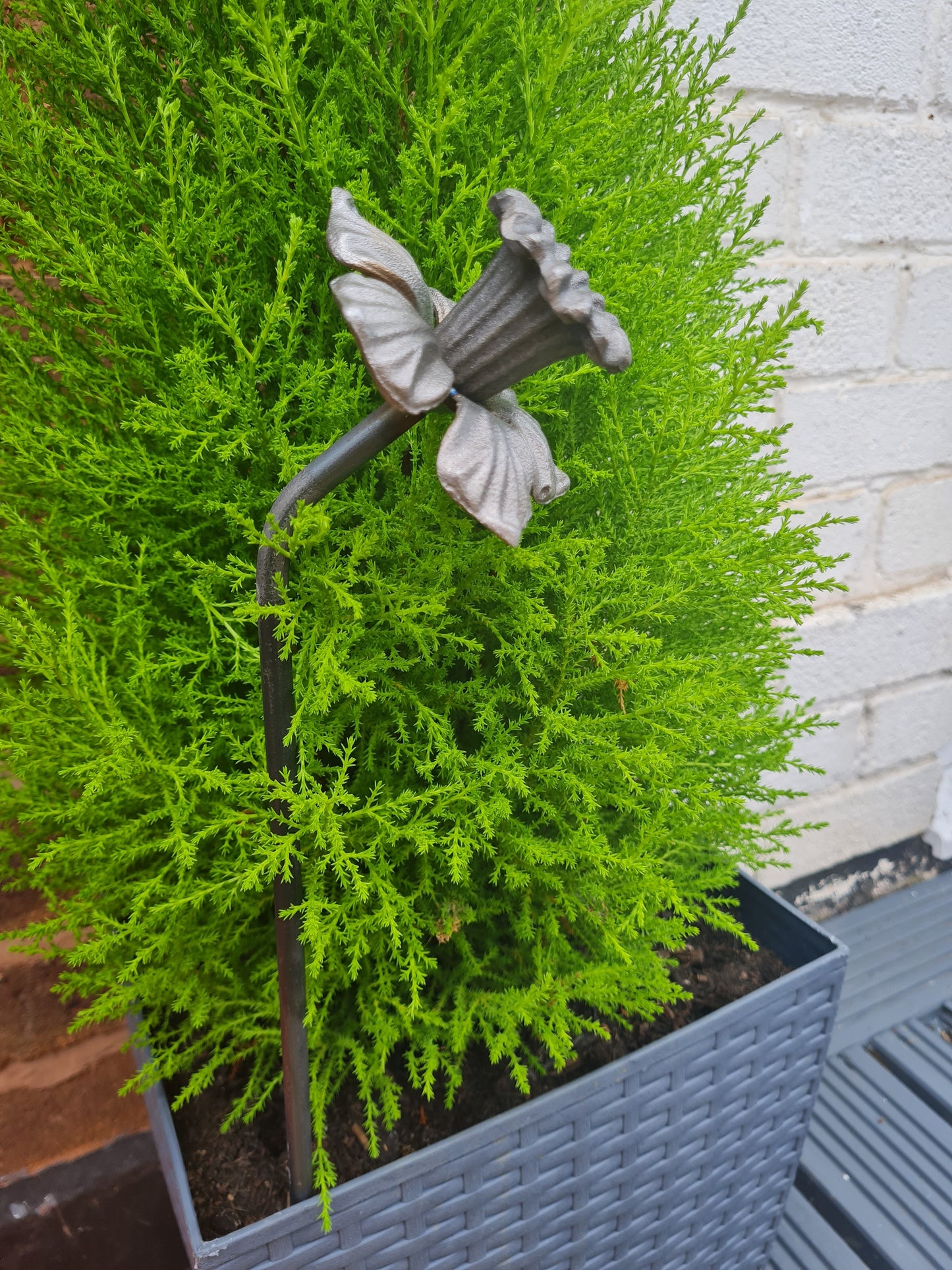 Daffodil Garden Sculpture | Metal Garden Flower Ornament  | Rusty Metal Flower For Garden