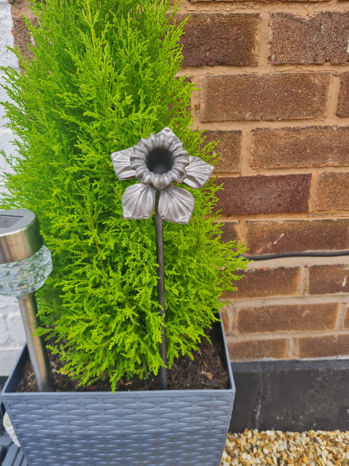 Daffodil Garden Sculpture | Metal Garden Flower Ornament  | Rusty Metal Flower For Garden