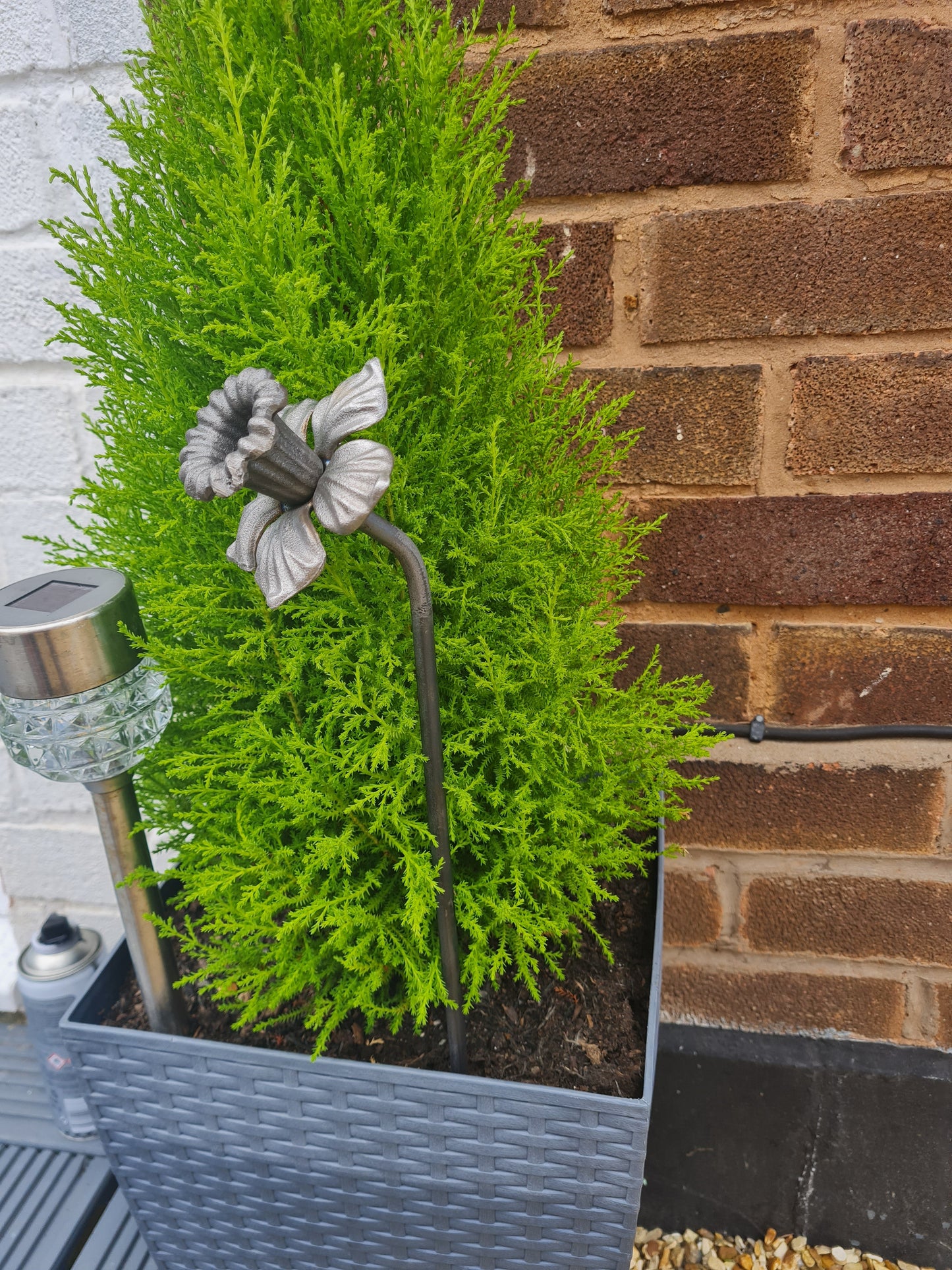 Daffodil Garden Sculpture | Metal Garden Flower Ornament  | Rusty Metal Flower For Garden