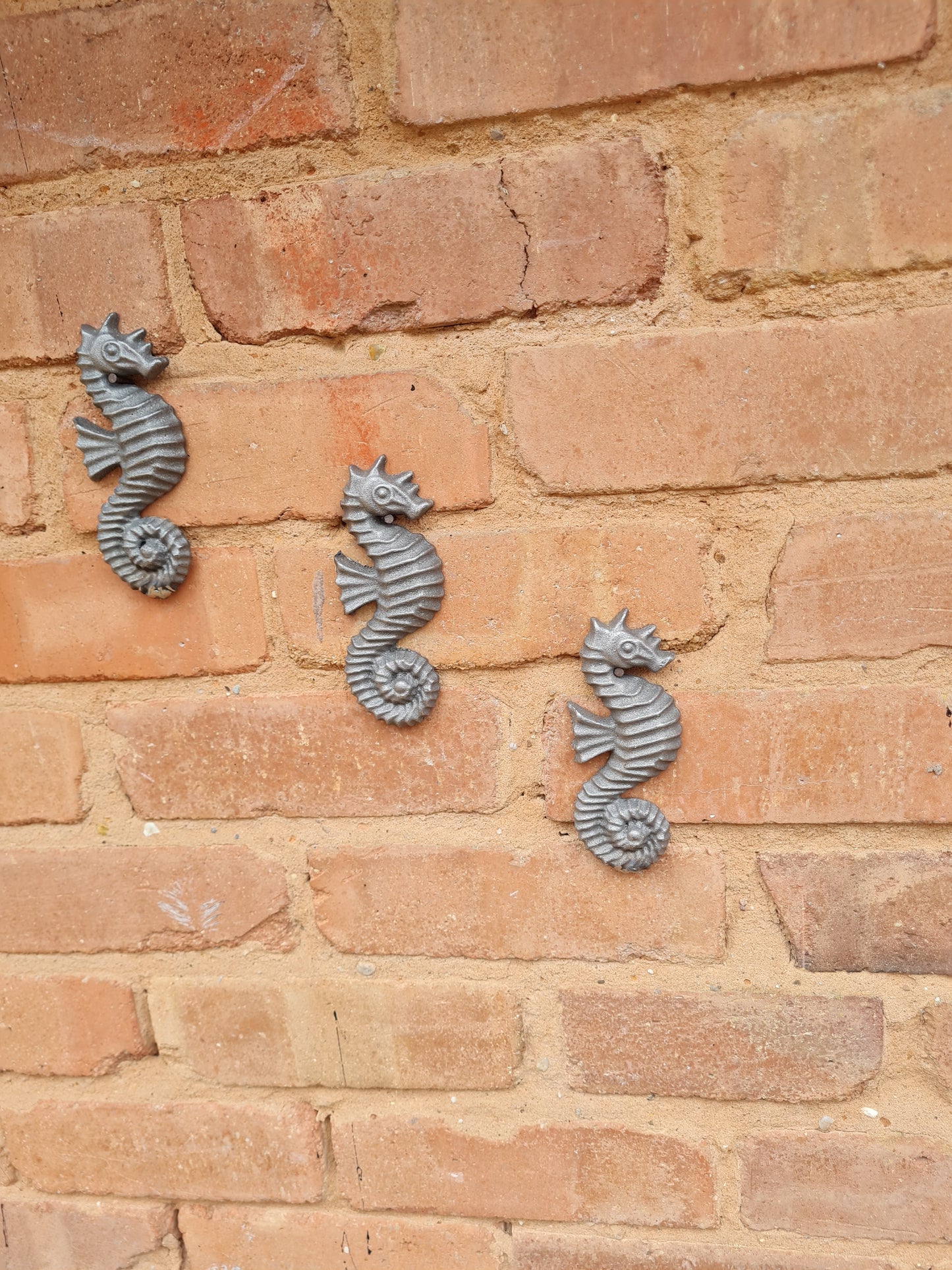 Cast Iron Garden Seahorse Ornament | Rustic Metal Seahorse Statue | Outdoor Garden Art | Metal Garden Wall Art