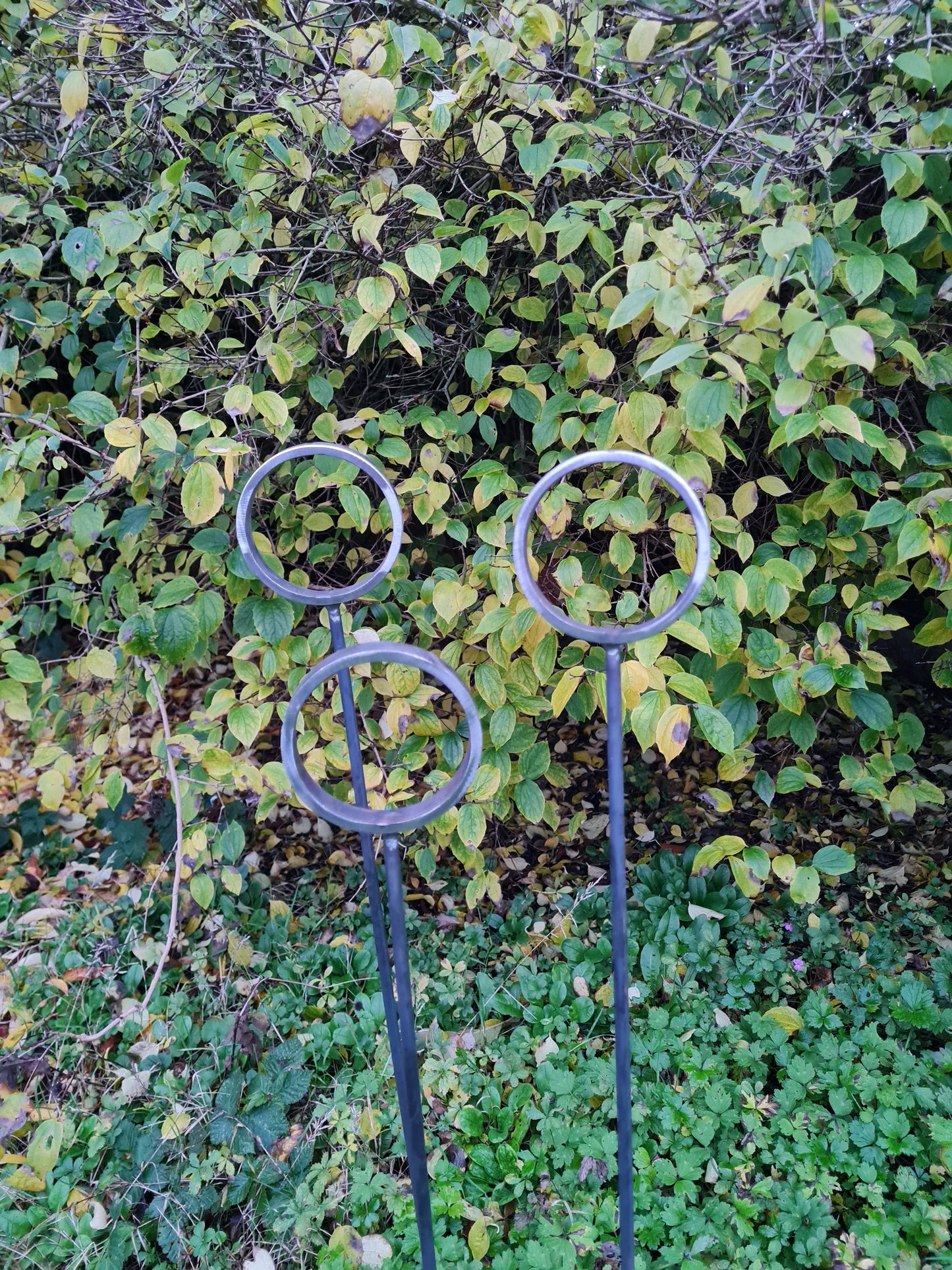 Ring plant support stakes set of 3
