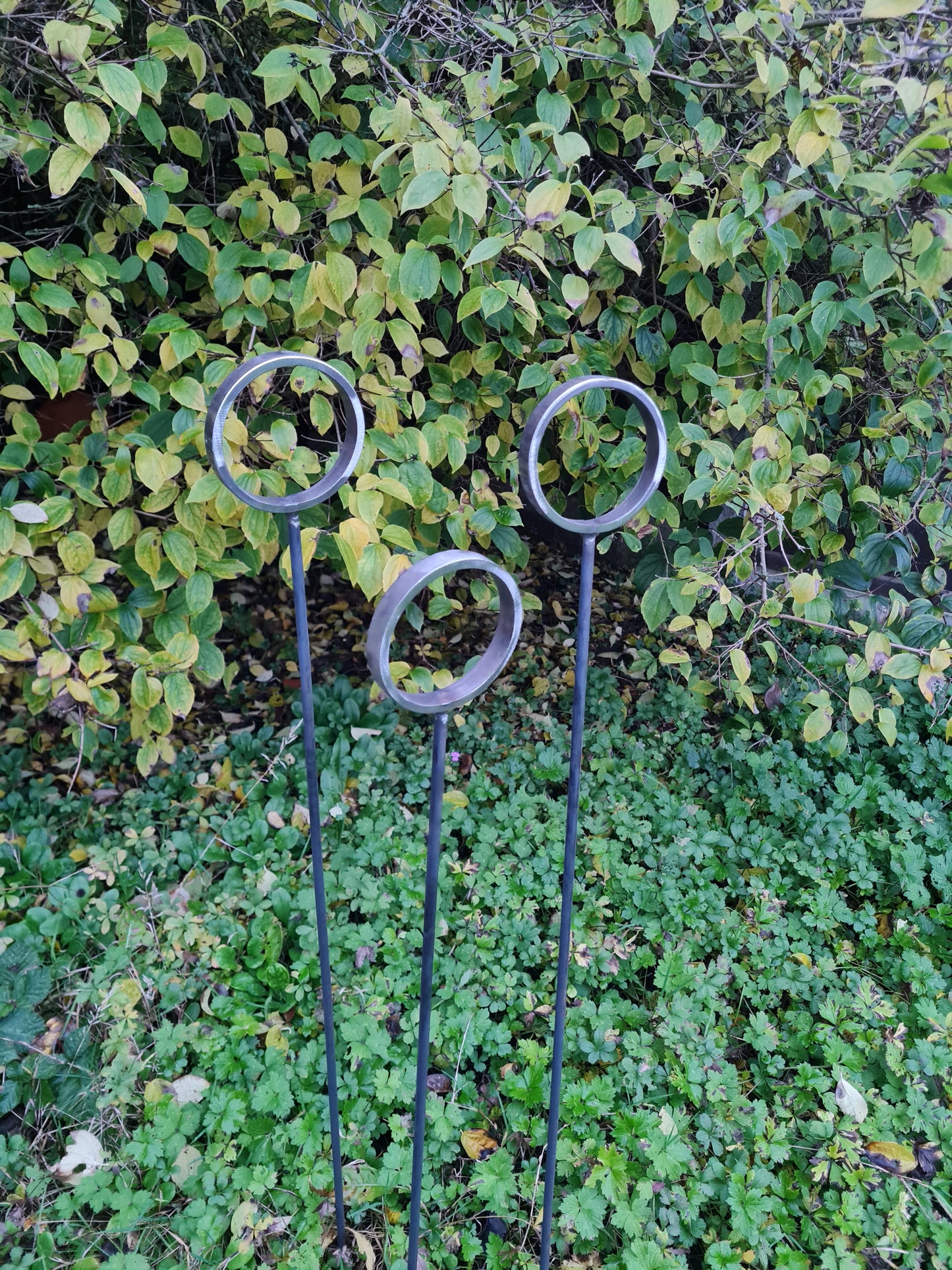 Ring plant support stakes set of 3