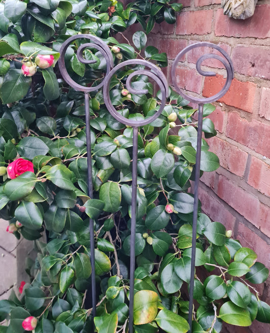Fish Tail Plant Support Stakes | Garden Plant Support | Decorative plant Stakes | Metal Garden Art