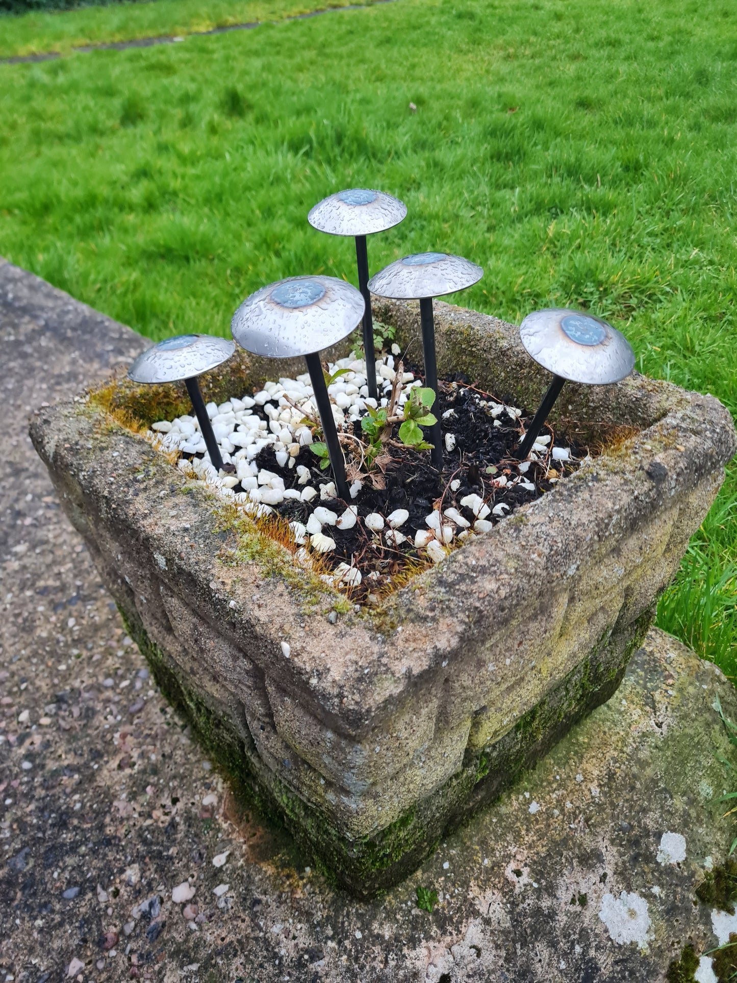 Metal Garden Domed Mushrooms | Rustic Outdoor Garden Art | Fairy Garden Decor | Steel Toadstools