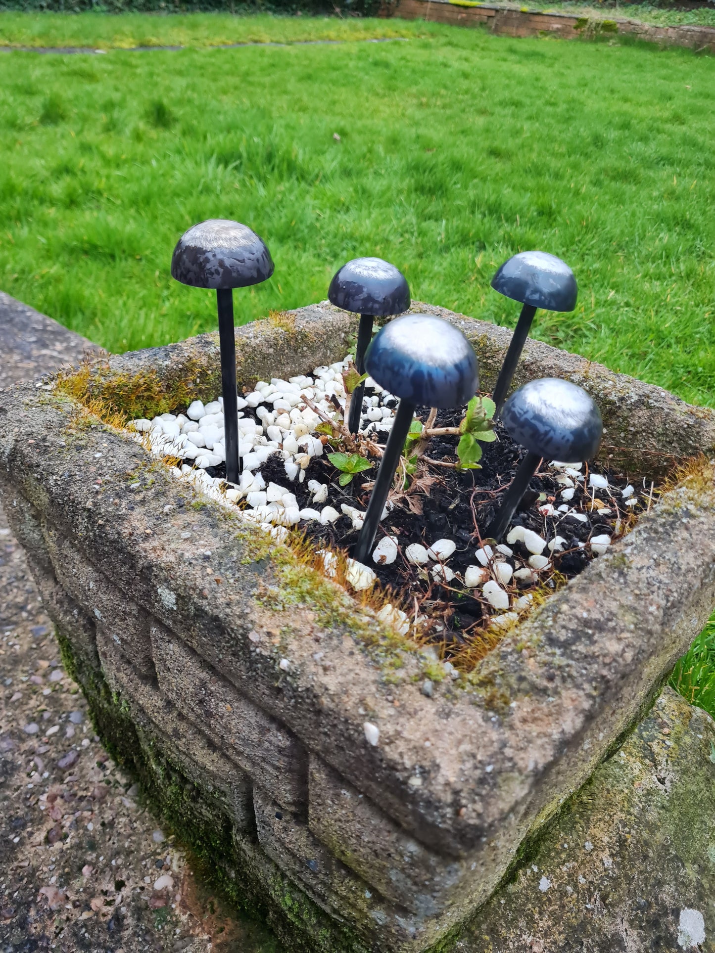 Metal Garden Mushrooms | Rustic Outdoor Garden Art | Fairy Garden Decor | Steel Toadstools