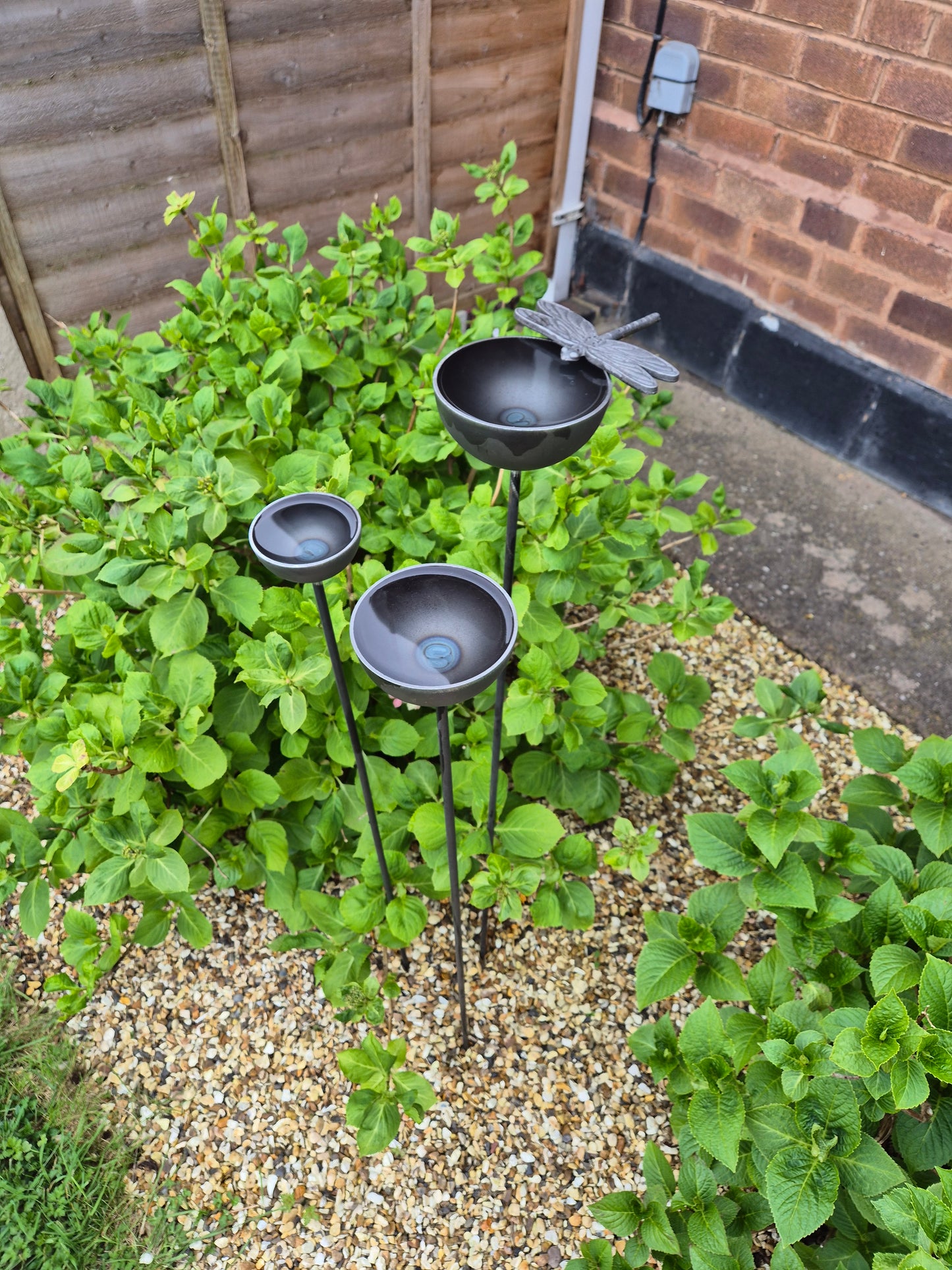 Dragonfly rain catchers set of 3