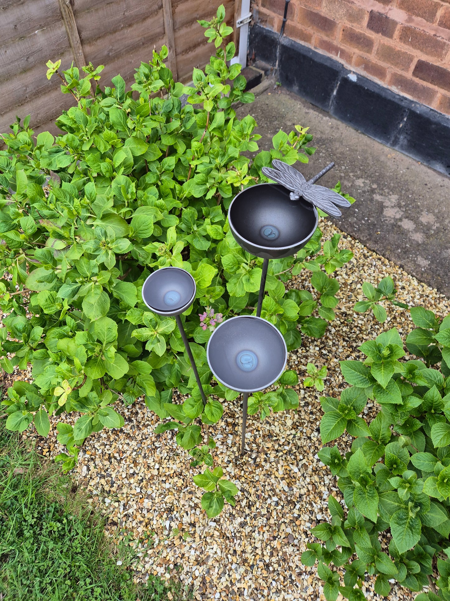 Dragonfly rain catchers set of 3