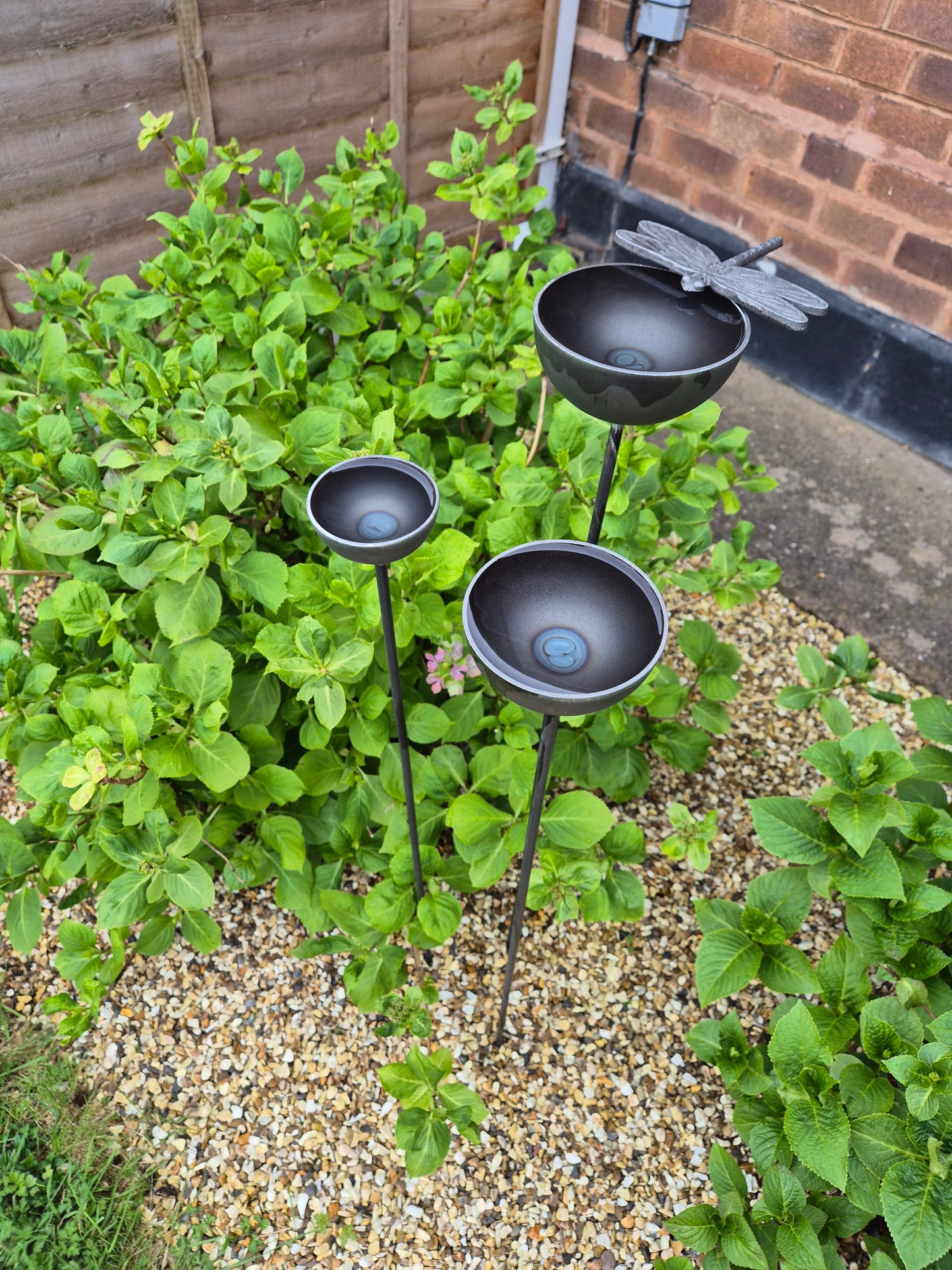Dragonfly rain catchers set of 3