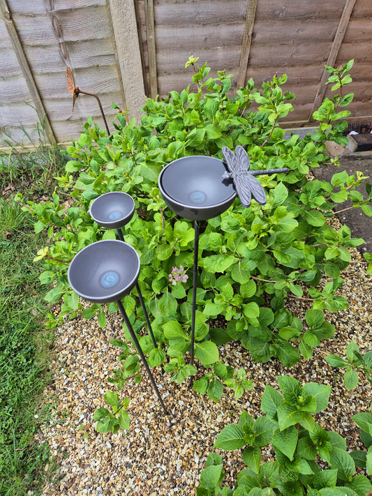 Dragonfly Rain Catcher Set | Outdoor Garden Water Feature | Decorative Rain Catching Ornament | Bird Bath