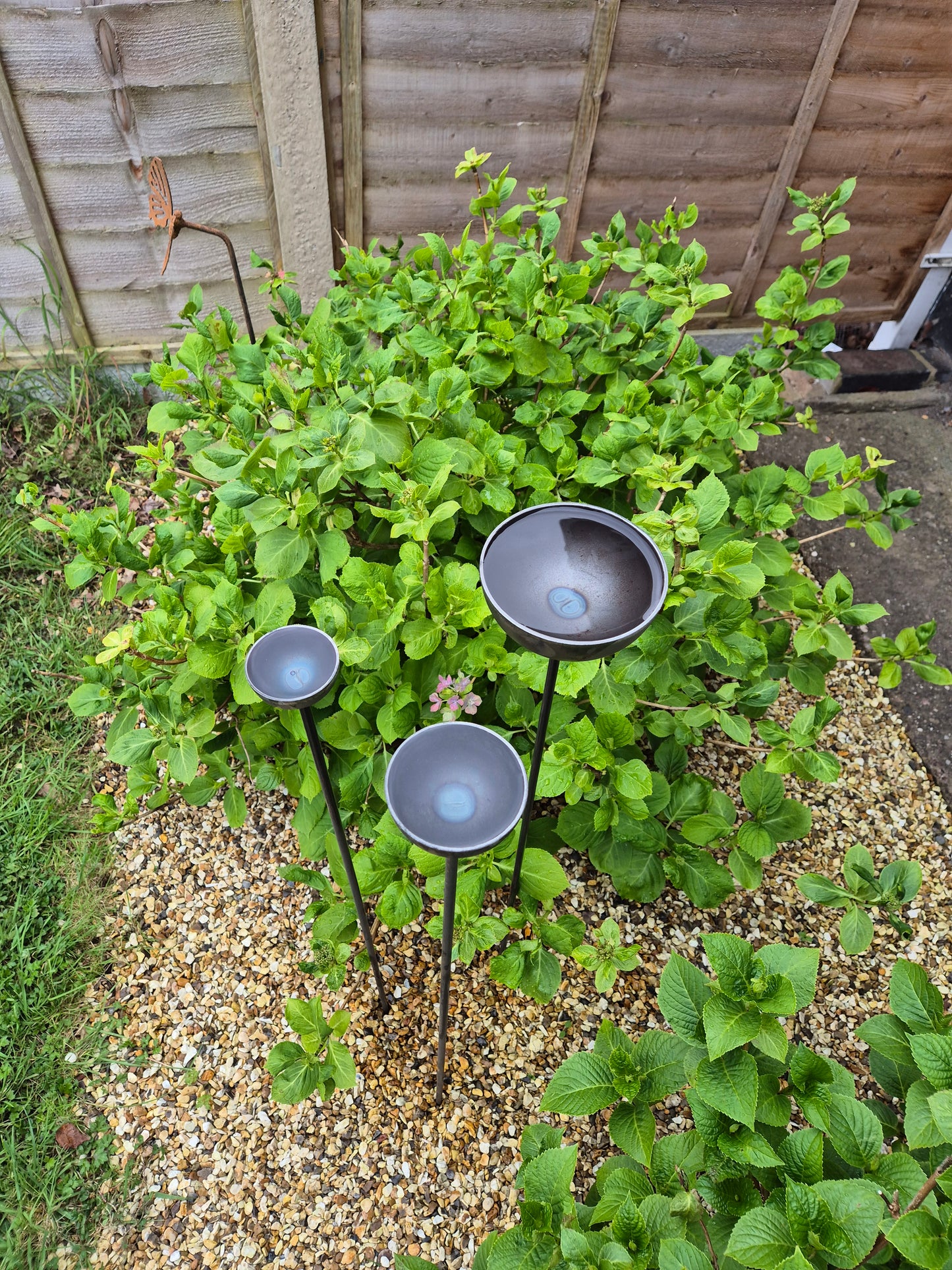 Rain Catcher Water Feature | Rusty Metal Garden Plant Support Ornament | Bird Feeder Bath