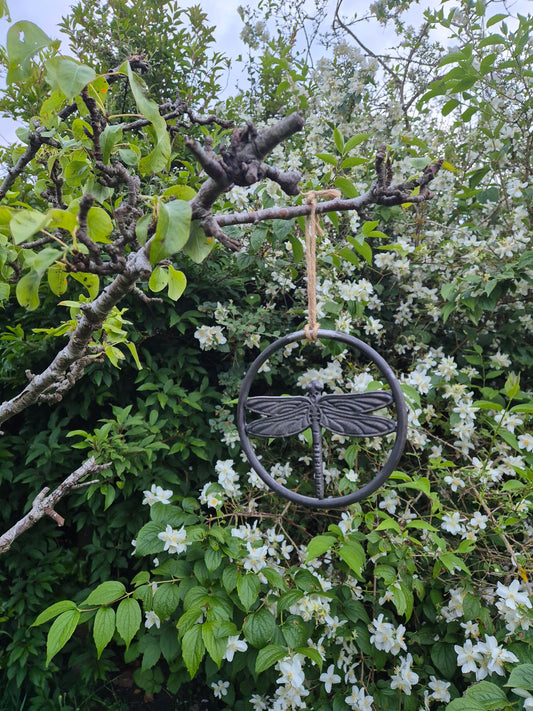 Hanging Metal Dragonfly Ring | Garden Wall Art | Tree Decoration | Rustic Outdoor Hanging Ornament