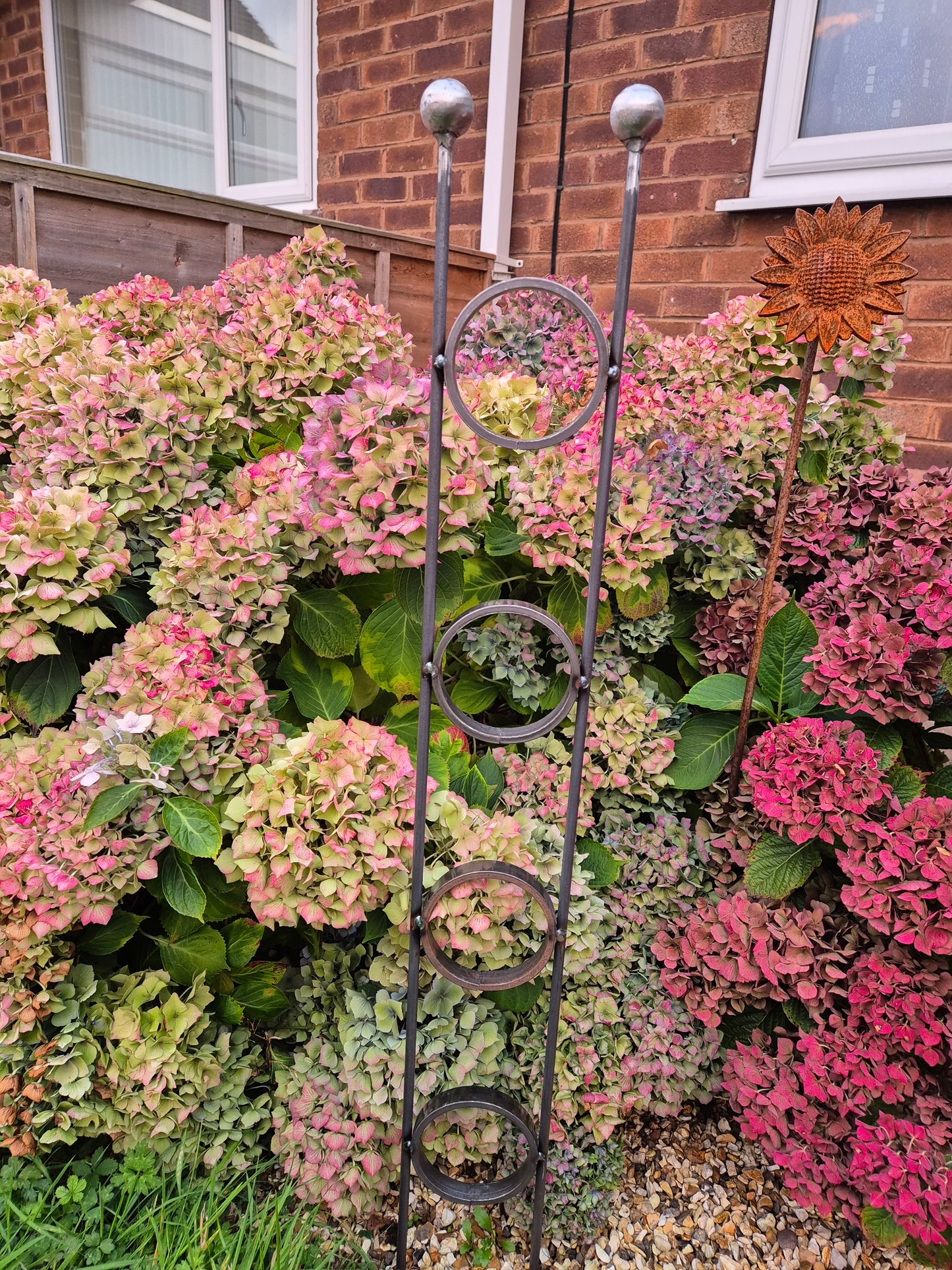 Ball top plant climber support with rings