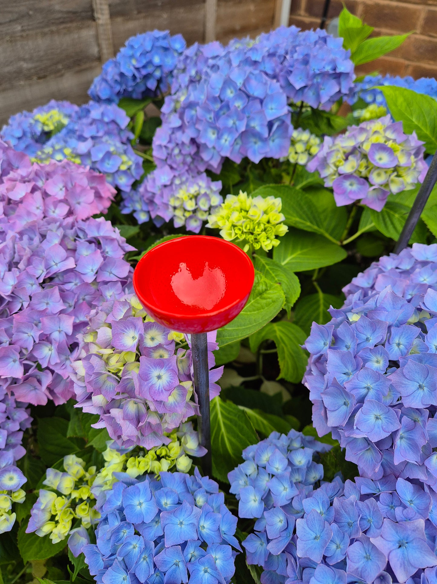 Bee Water Stations | Bumblebee Feeder Cups | Bee Waterer
