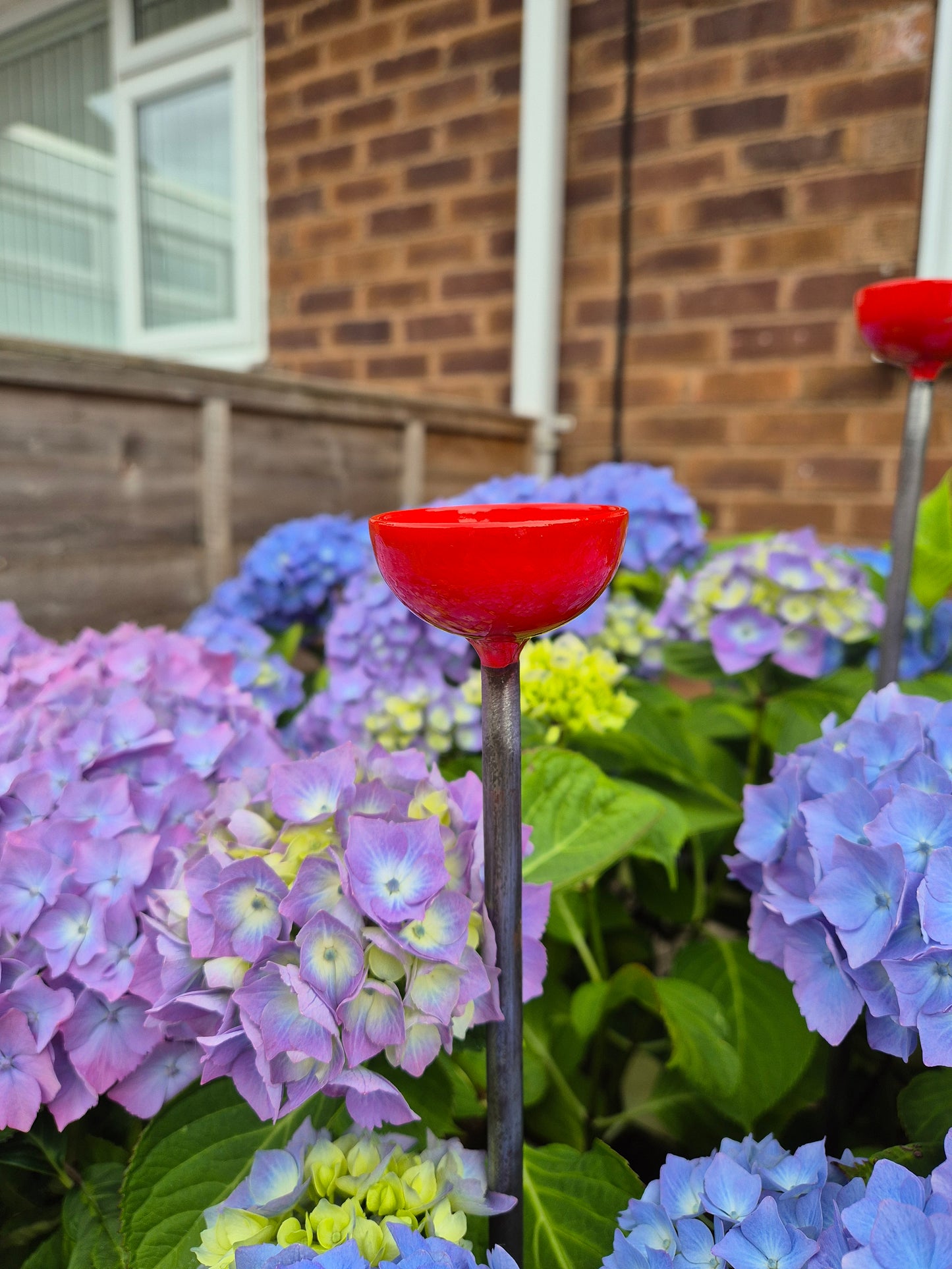 Bee Water Stations | Bumblebee Feeder Cups | Bee Waterer
