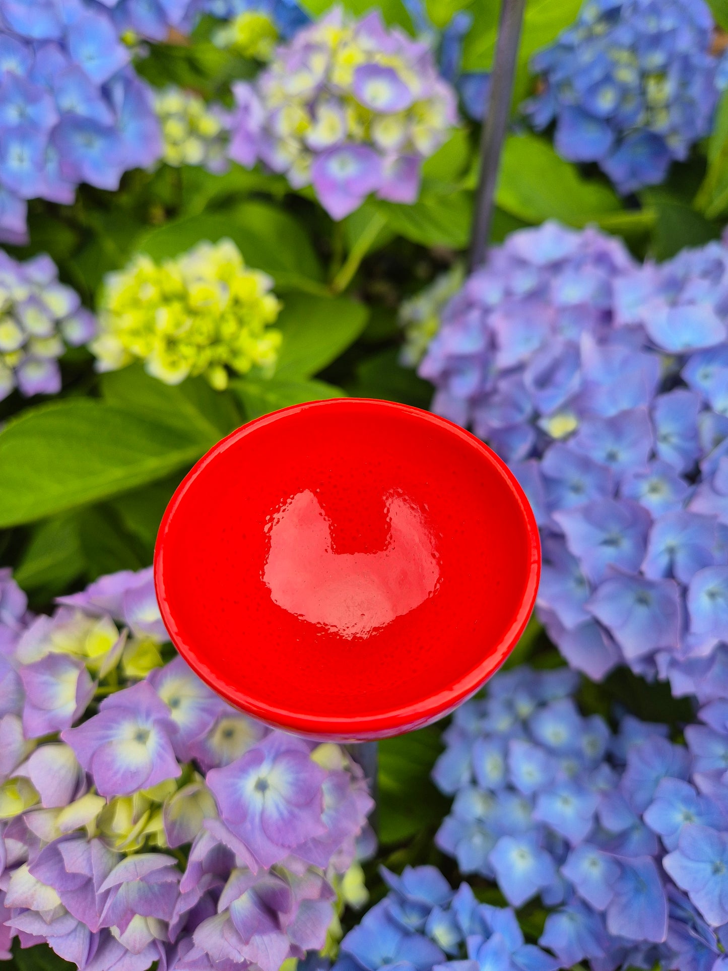 Bee Water Stations | Bumblebee Feeder Cups | Bee Waterer