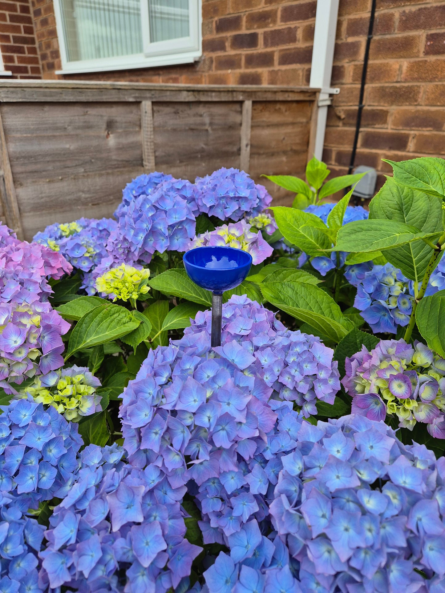 Bee Water Stations | Bumblebee Feeder Cups | Bee Waterer