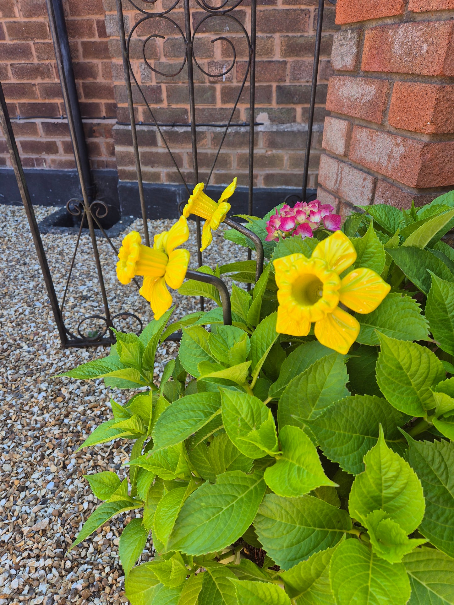 Colourful Metal Daffodil Flower Gift For The Garden