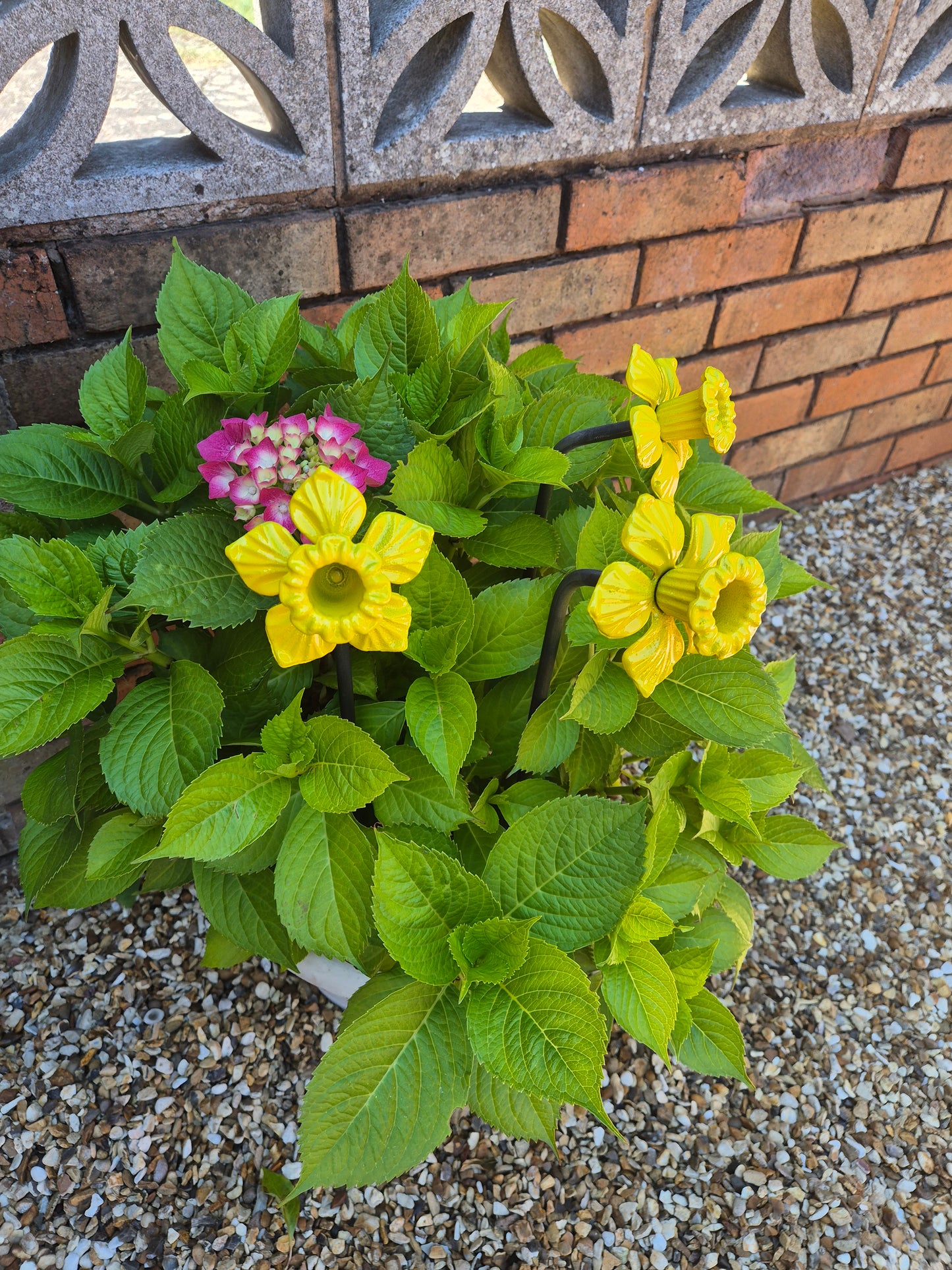 Colourful Metal Daffodil Flower Gift For The Garden