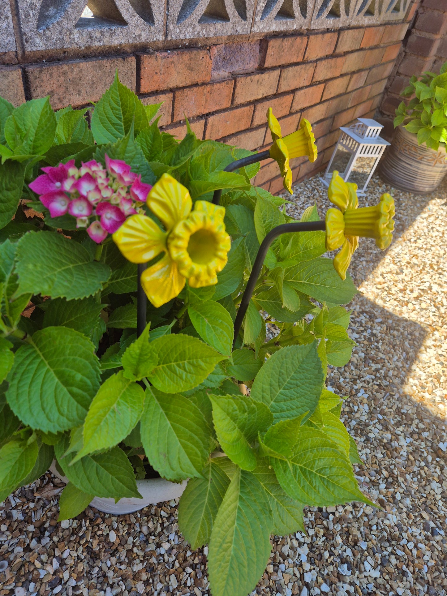 Colourful Metal Daffodil Flower Gift For The Garden