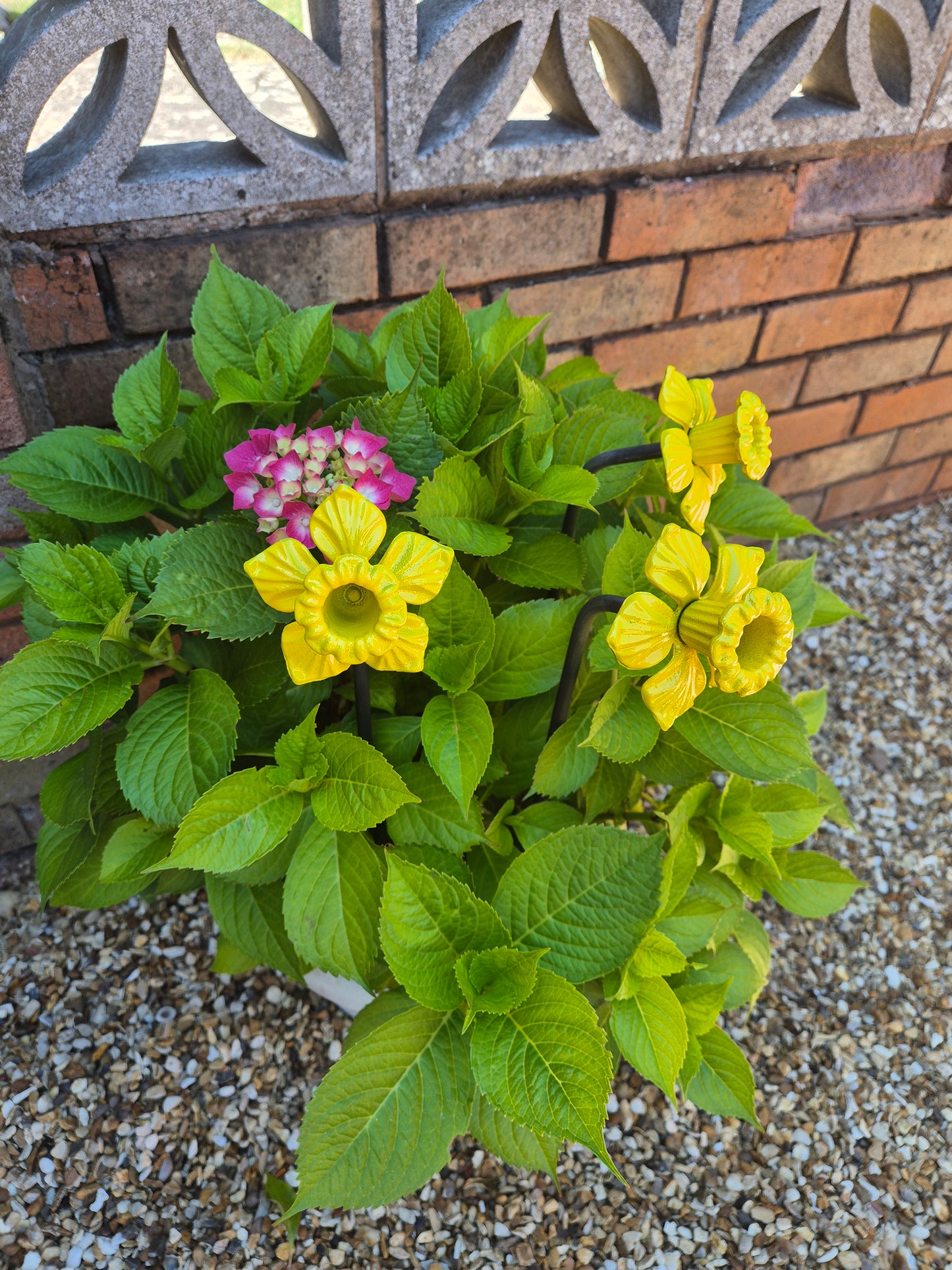 Colourful Metal Daffodil Flower Gift For The Garden