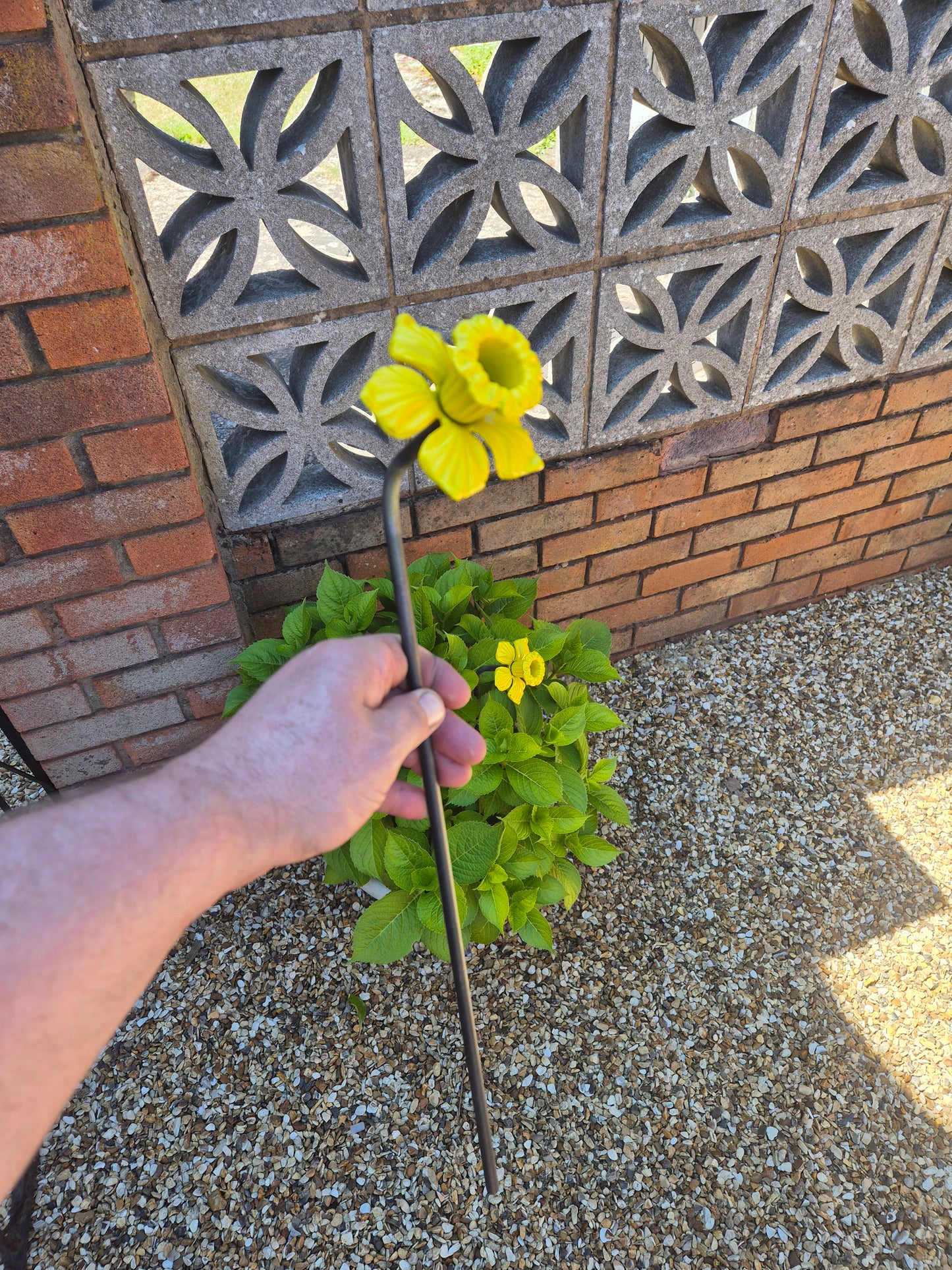 Colourful Metal Daffodil Flower Gift For The Garden