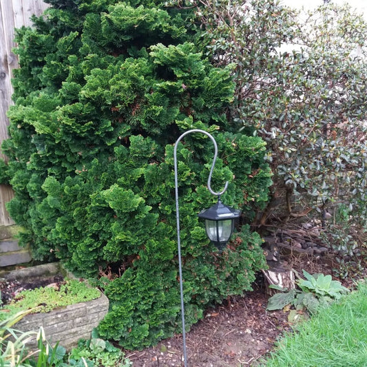 Handmade Shepherd's Crooks | Garden Hooks | Rustic Light Hangers | Garden Lantern Hooks
