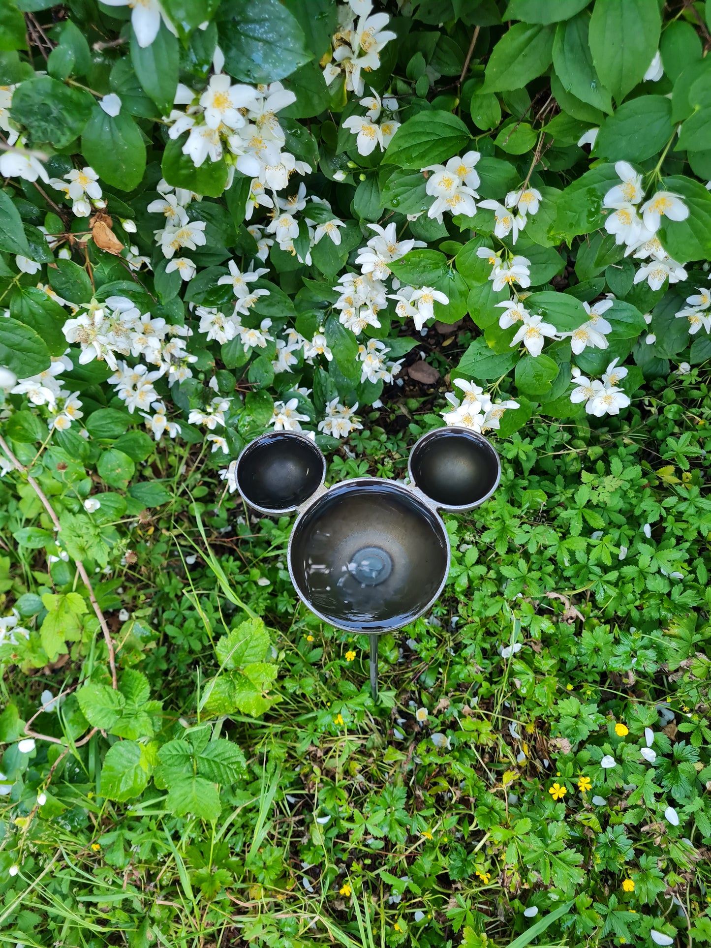 Mickey mouse rain catcher