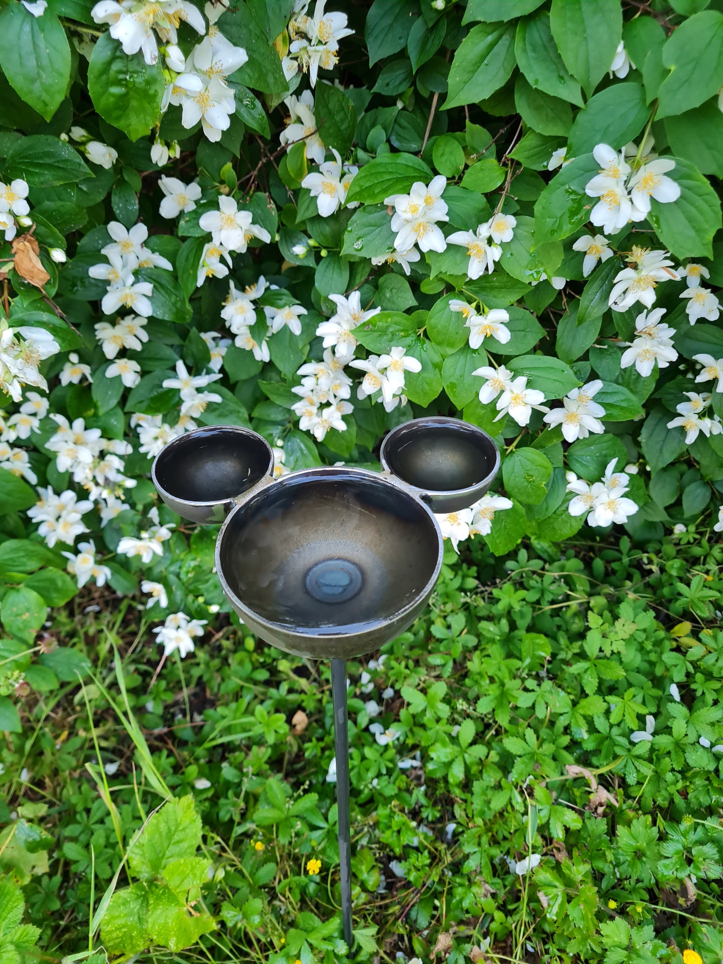 Mickey mouse rain catcher