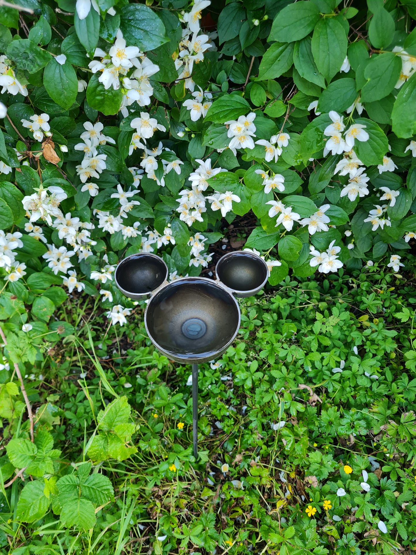 Mickey mouse rain catcher