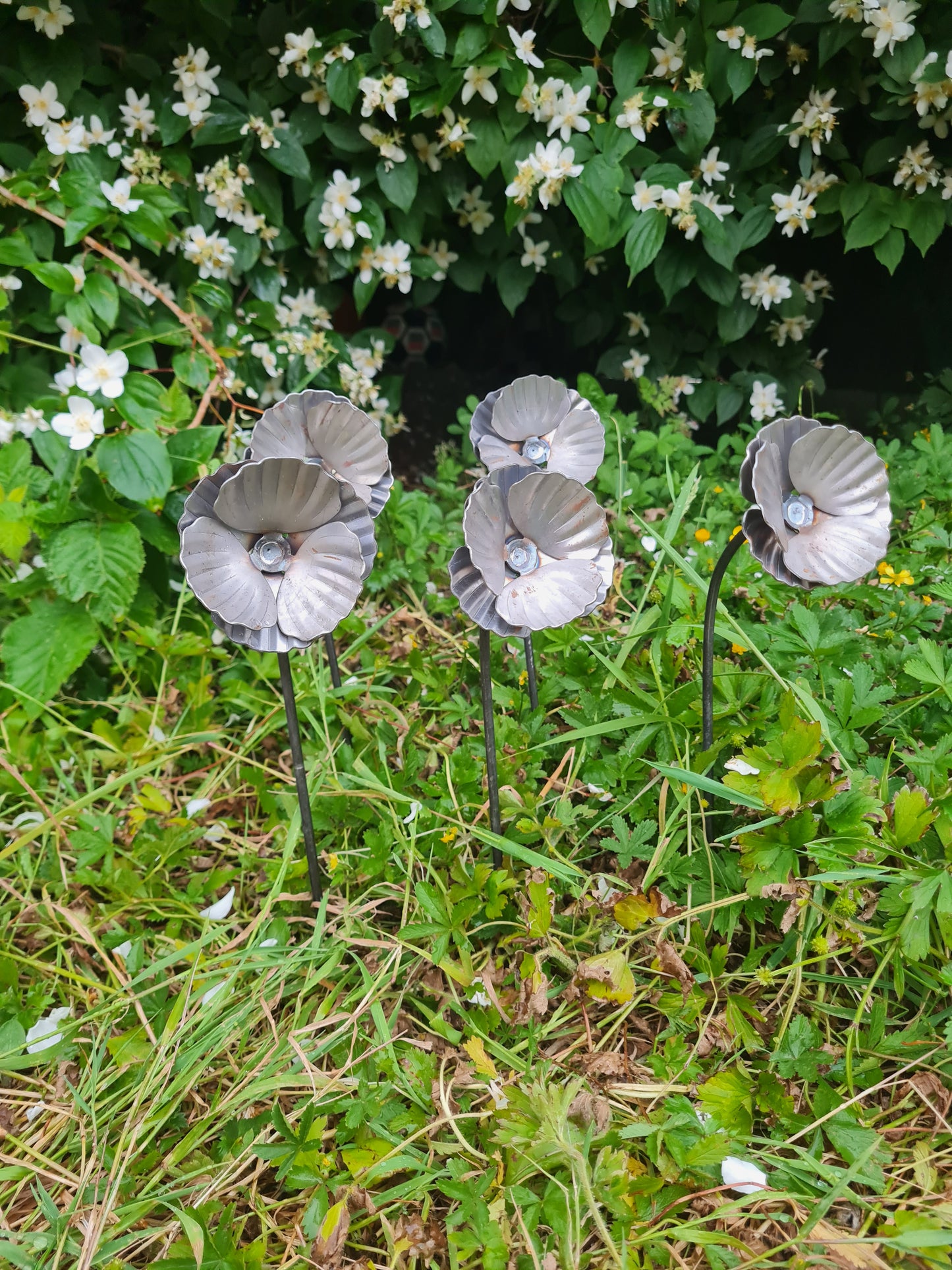 Rustic metal garden poppy flowers set of 5