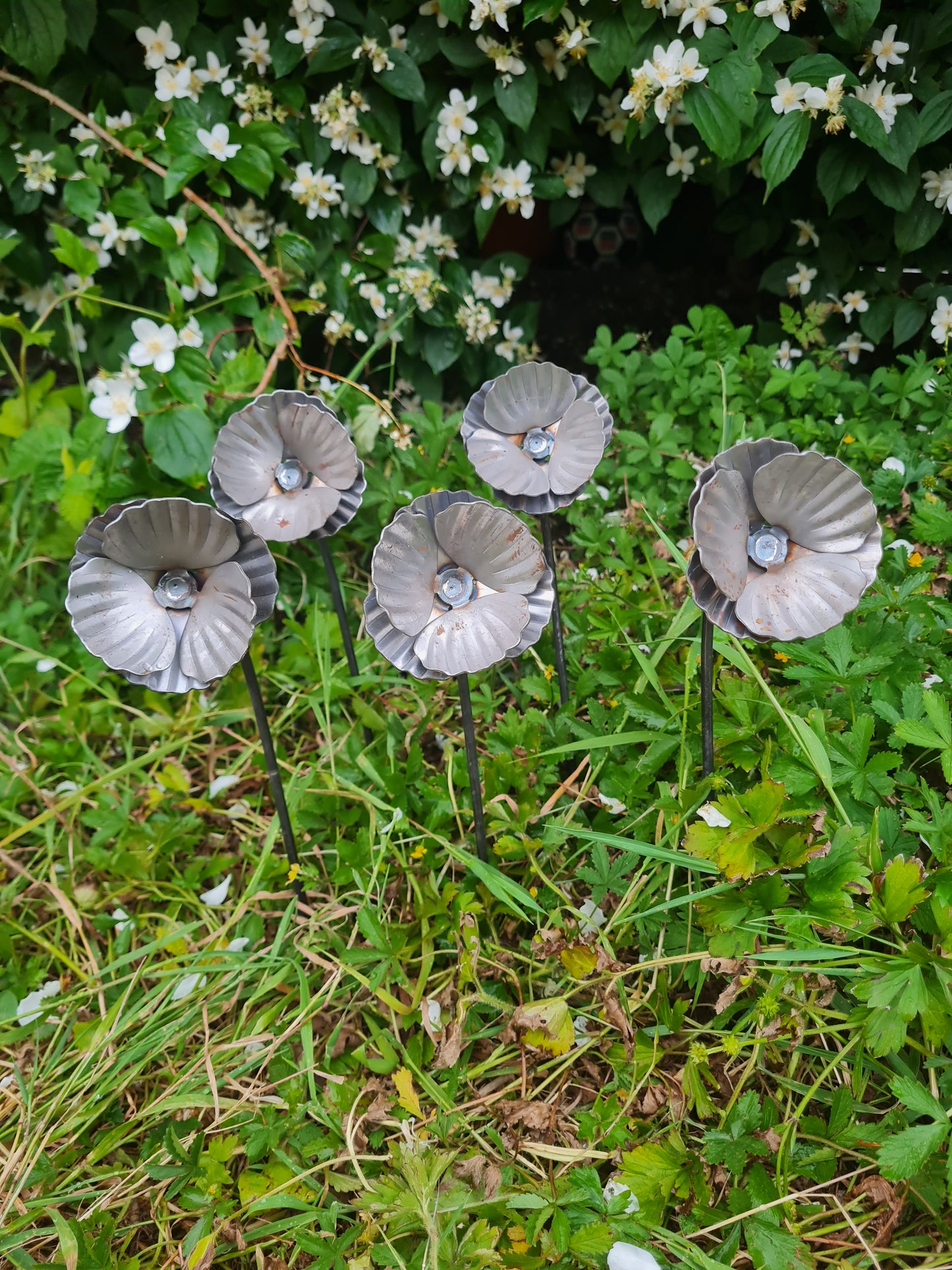 Rustic metal garden poppy flowers set of 5