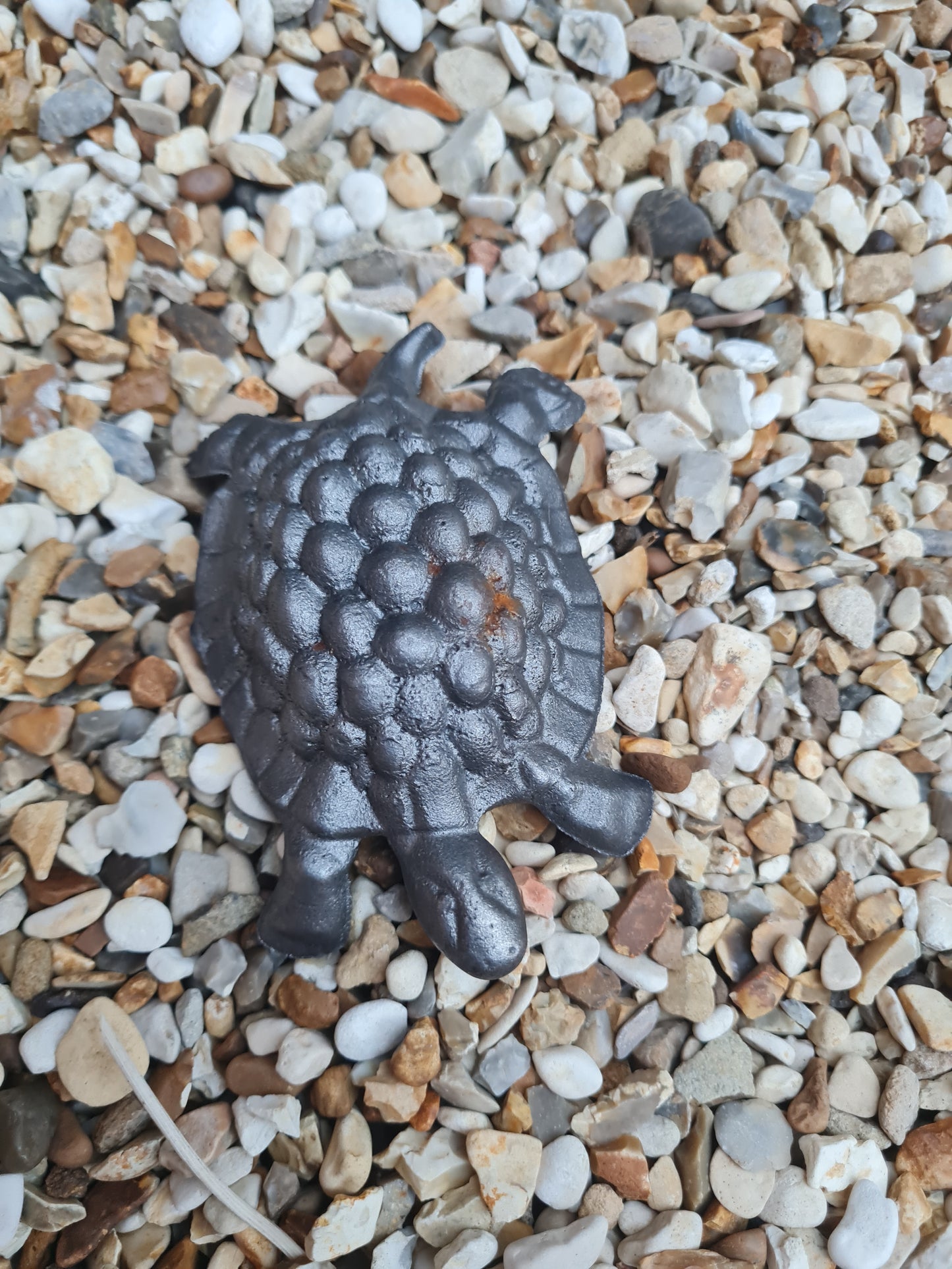 Rustic metal cast iron garden tortoise ornament