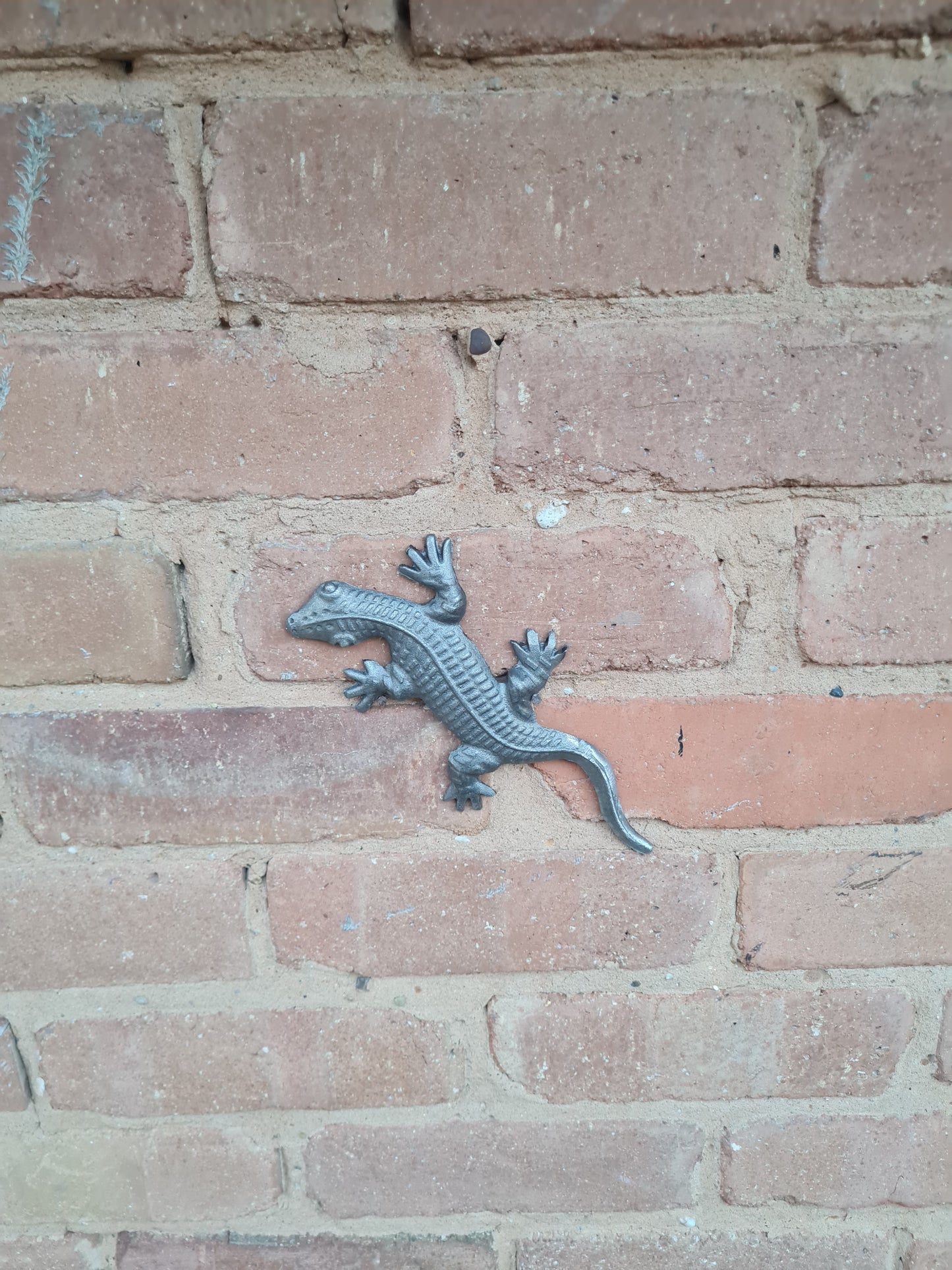 Rustic metal cast iron garden salamander ornament