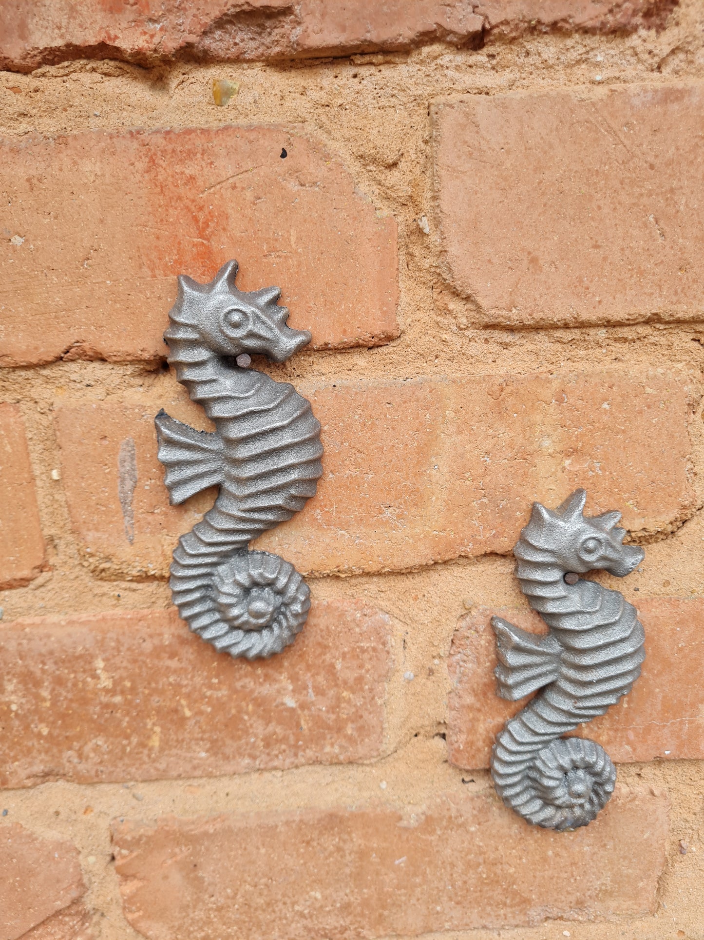 Rustic metal cast iron garden seahorse ornament