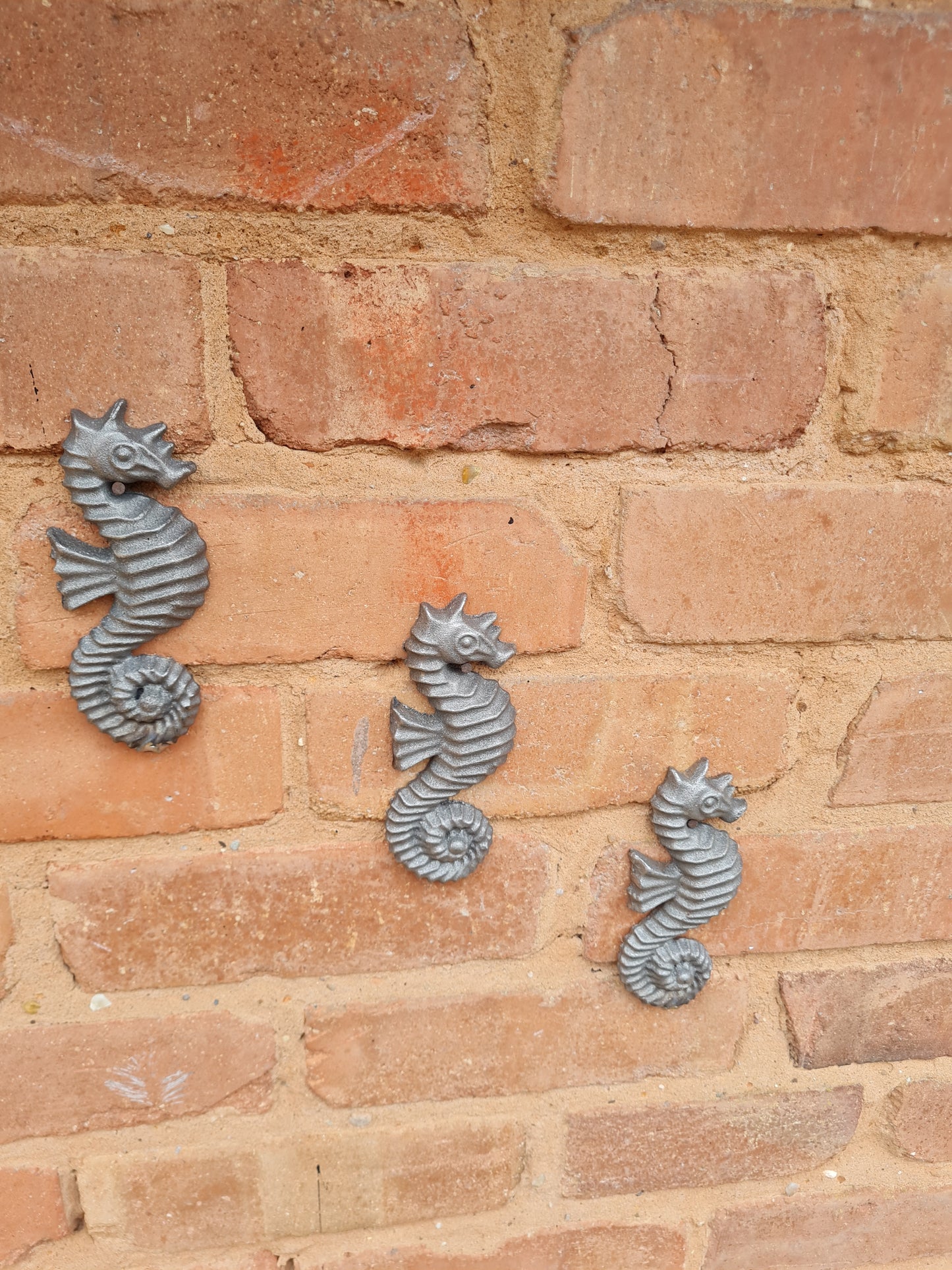 Rustic metal cast iron garden seahorse ornament