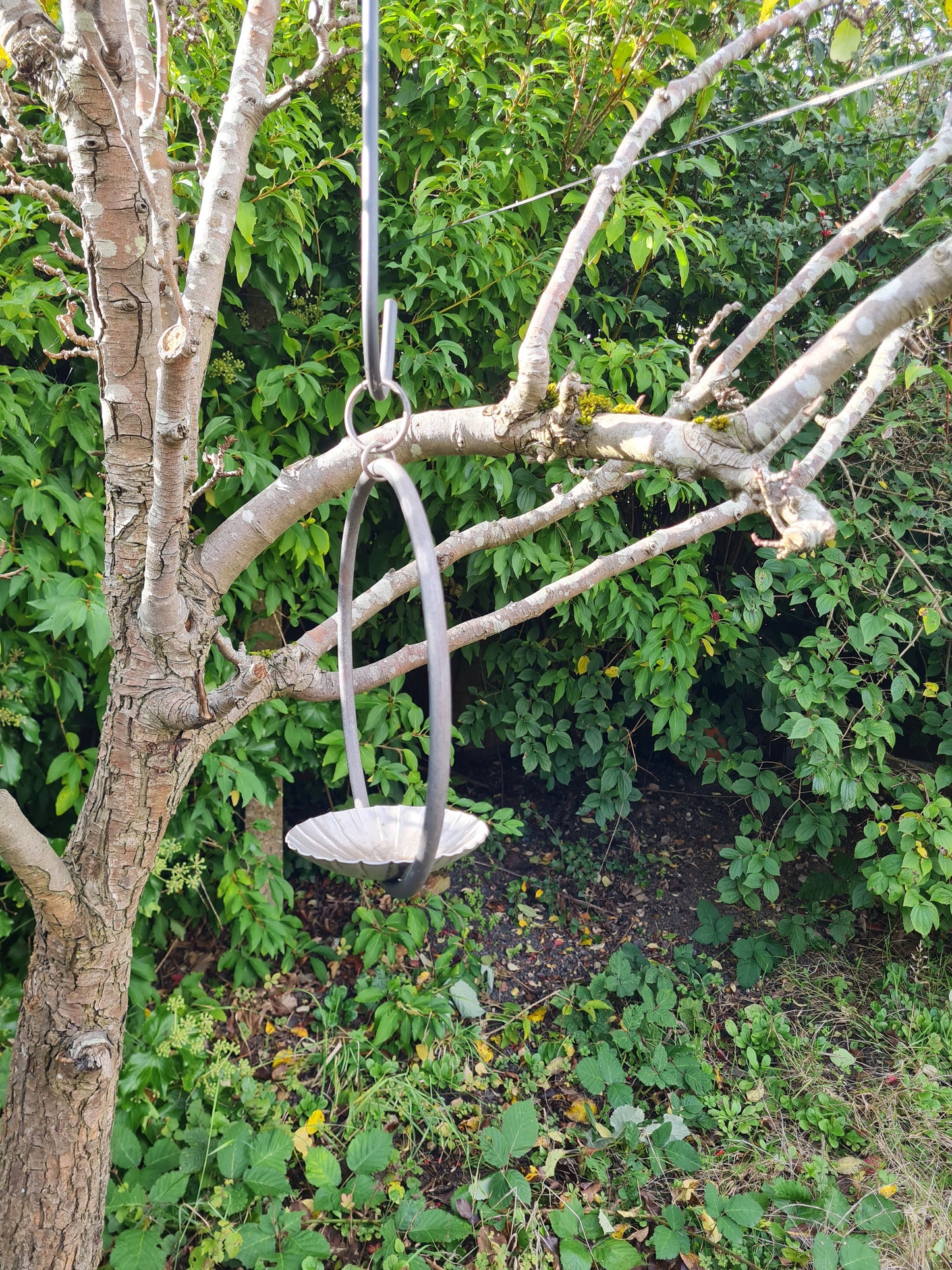 Rustic metal Hanging ring bird feeder with rippled dish