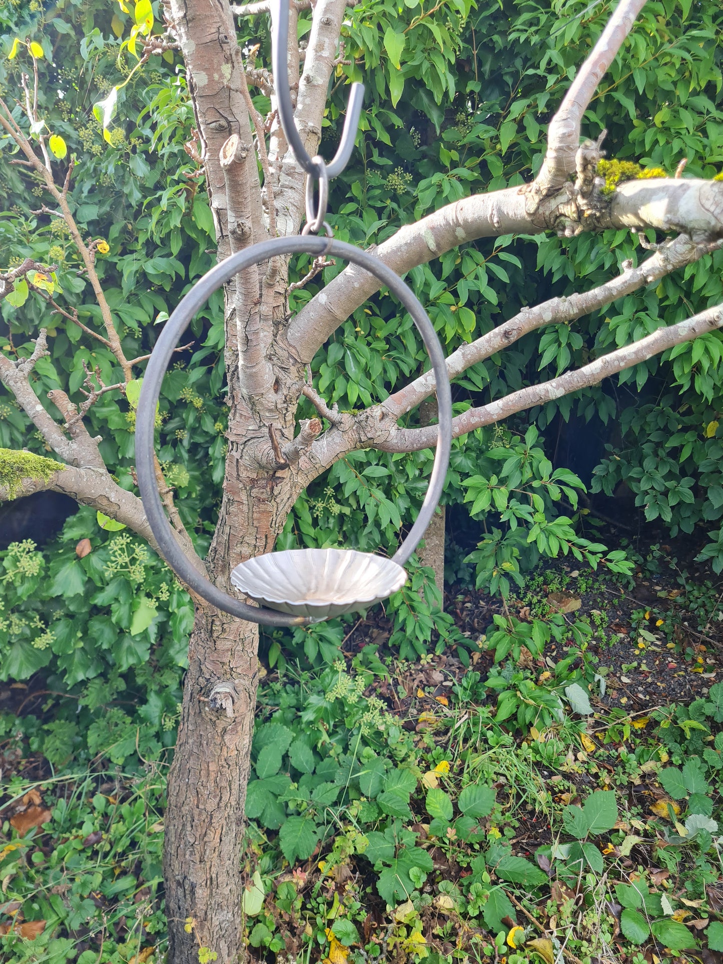 Rustic metal Hanging ring bird feeder with rippled dish