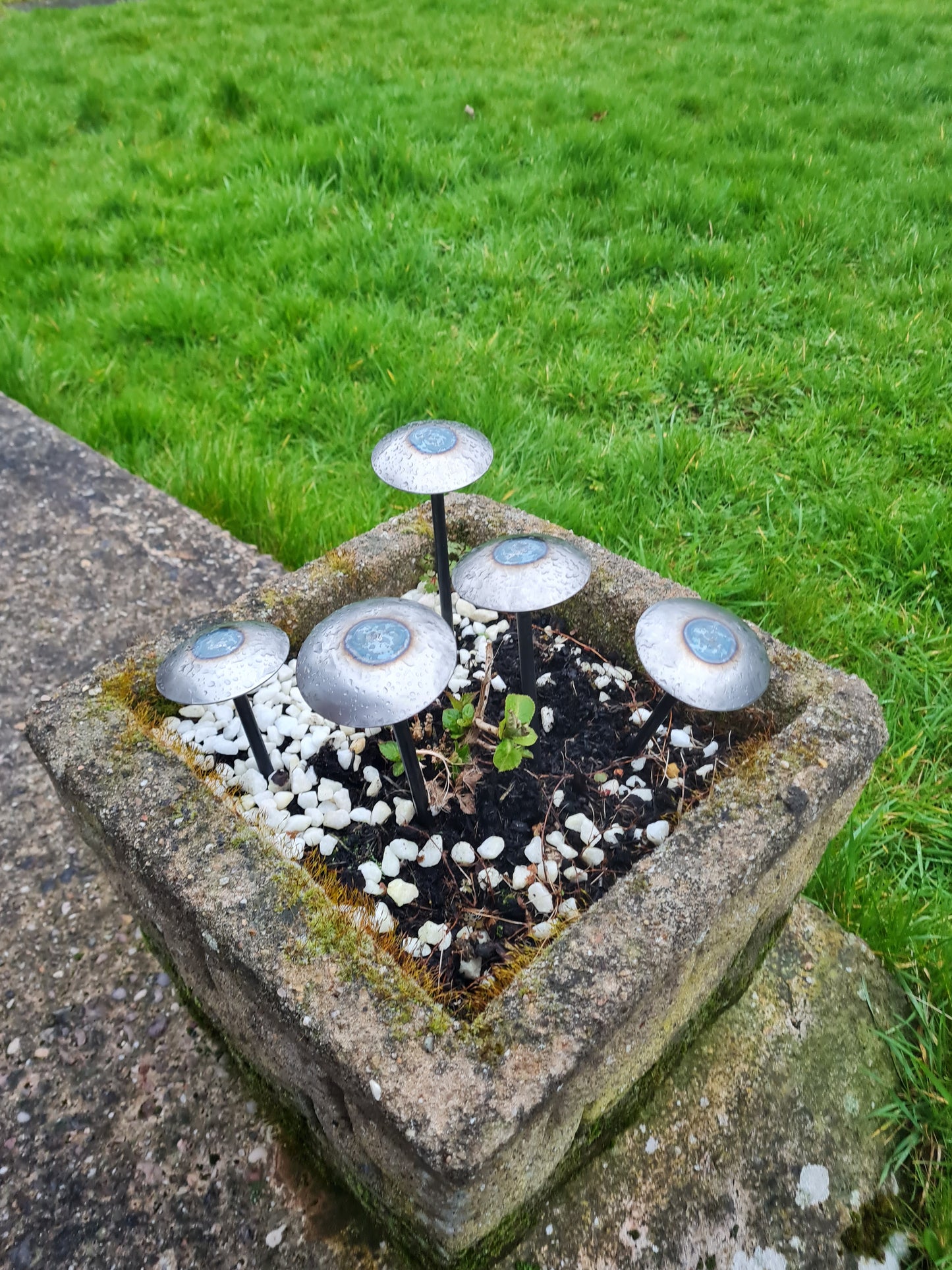 Rustic metal domed mushrooms set of 5