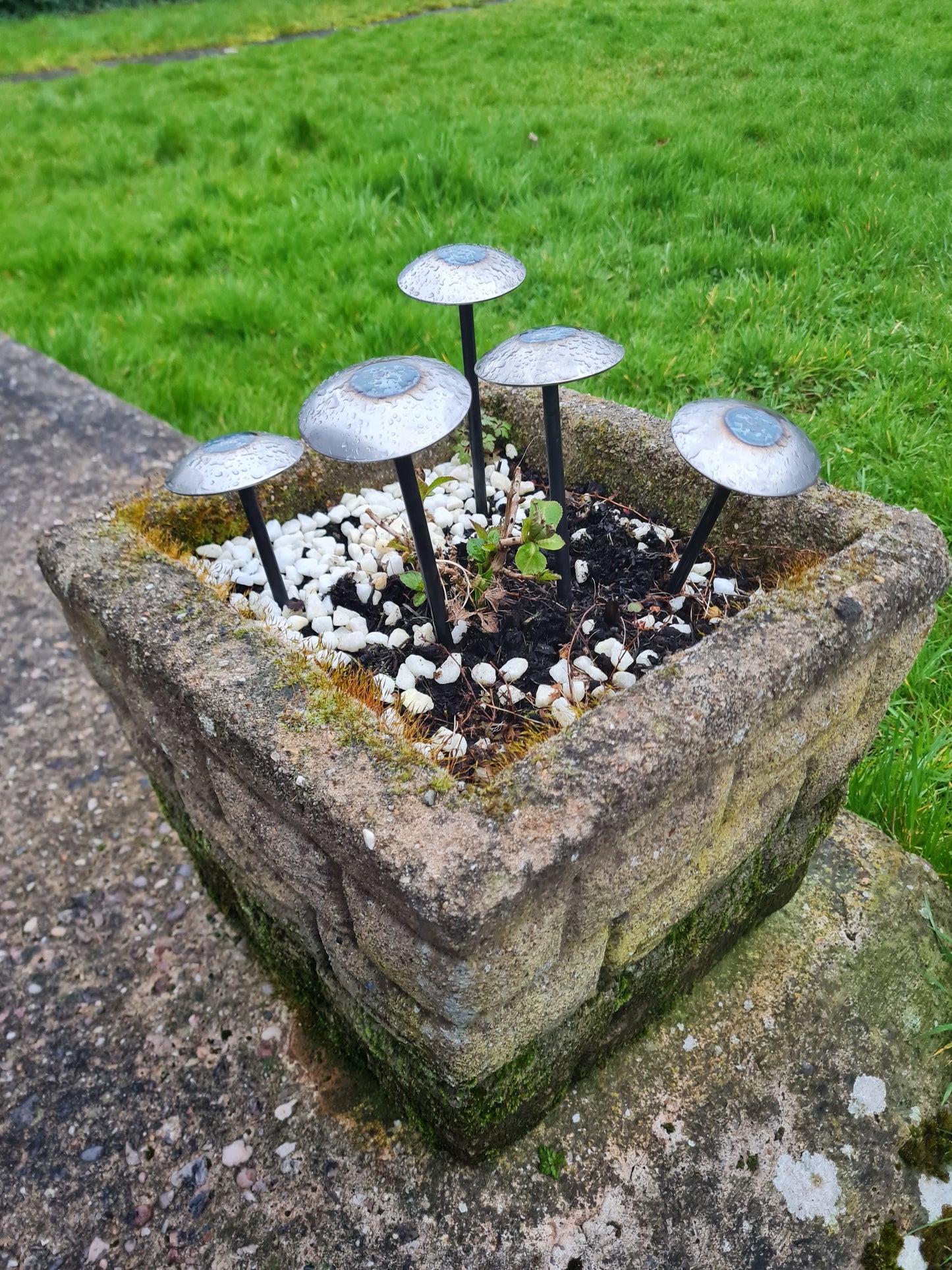 Rustic metal domed mushrooms set of 5