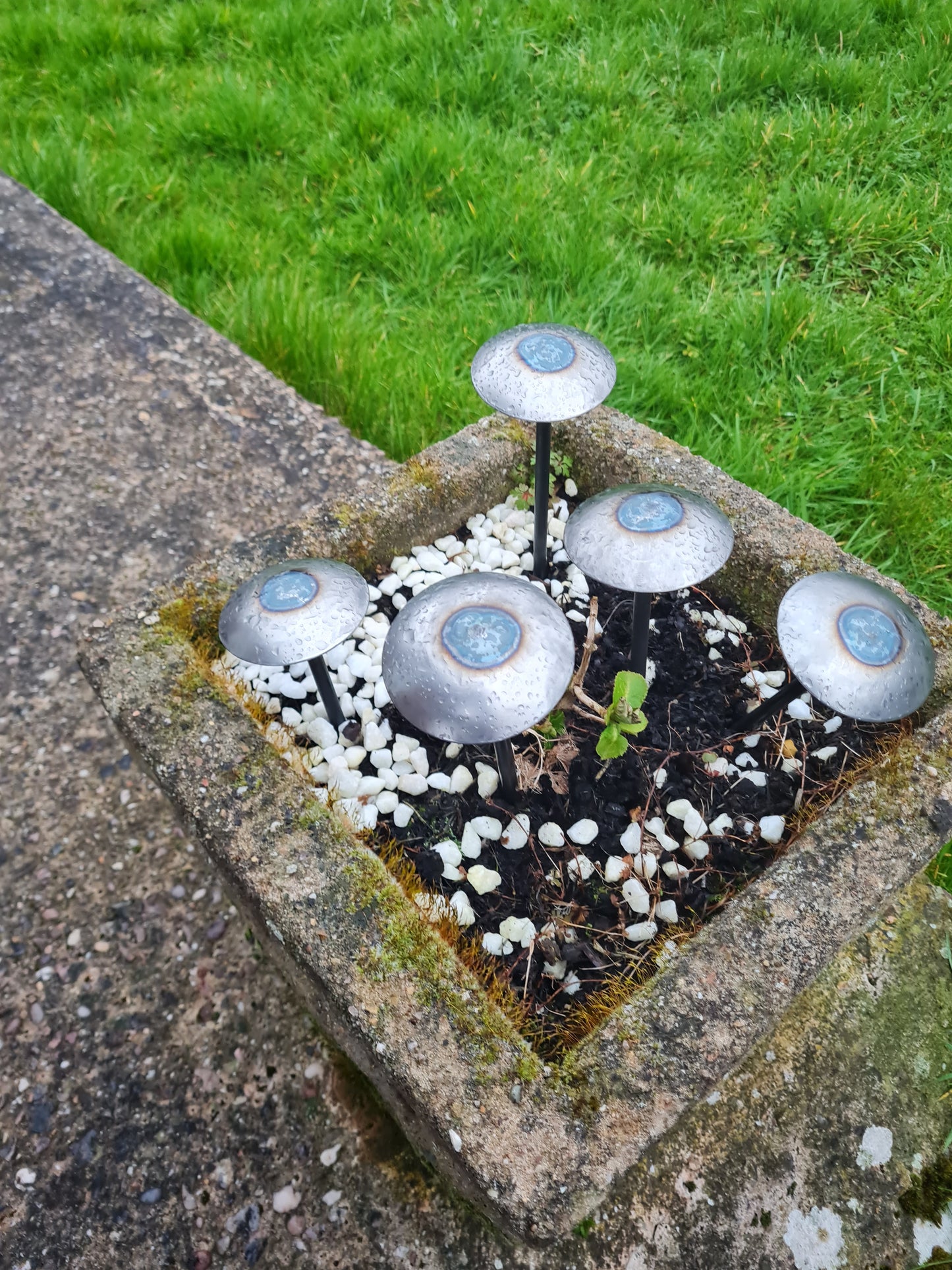 Rustic metal domed mushrooms set of 5