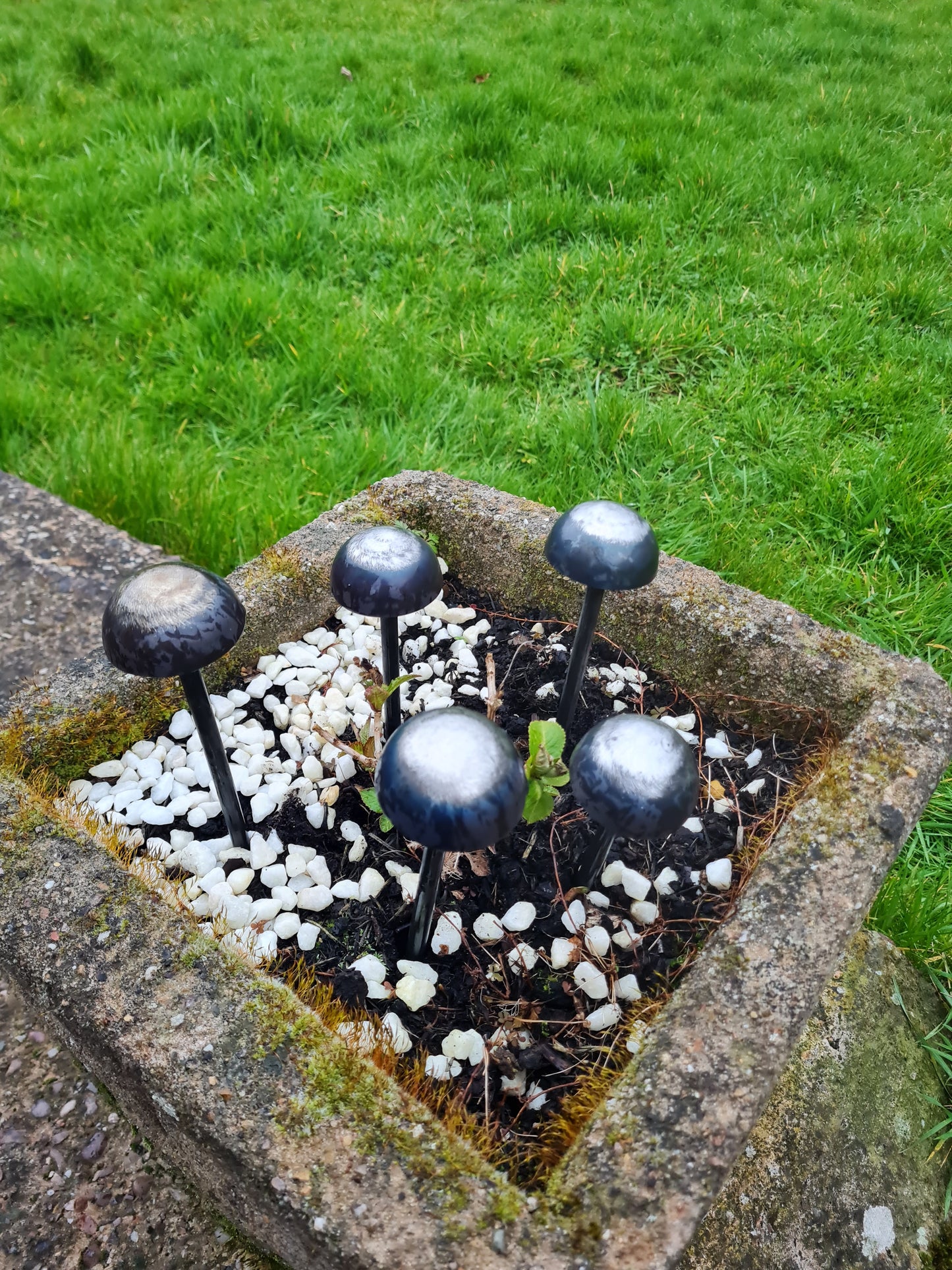 Rustic metal mushrooms set of 5