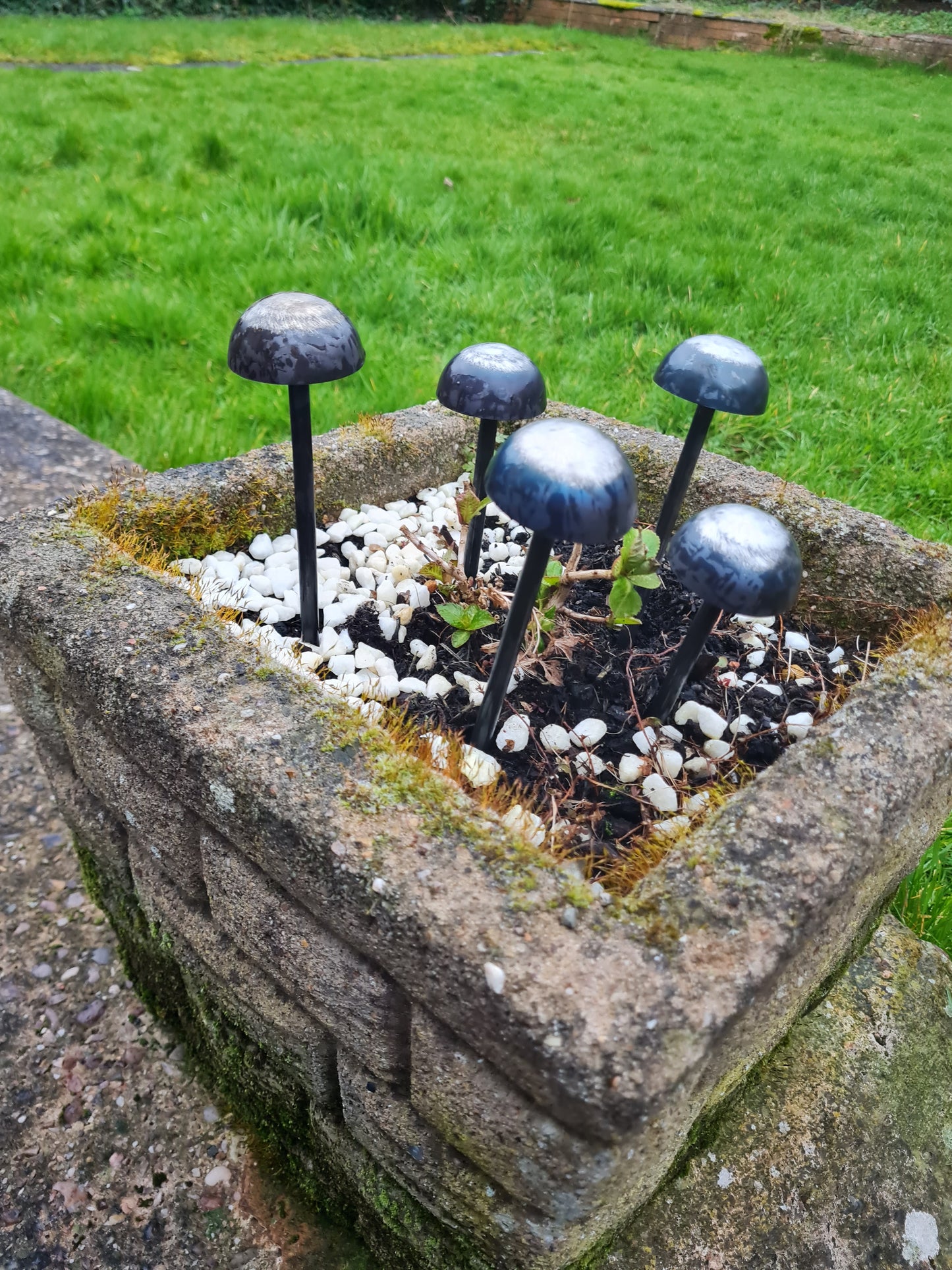 Rustic metal mushrooms set of 5