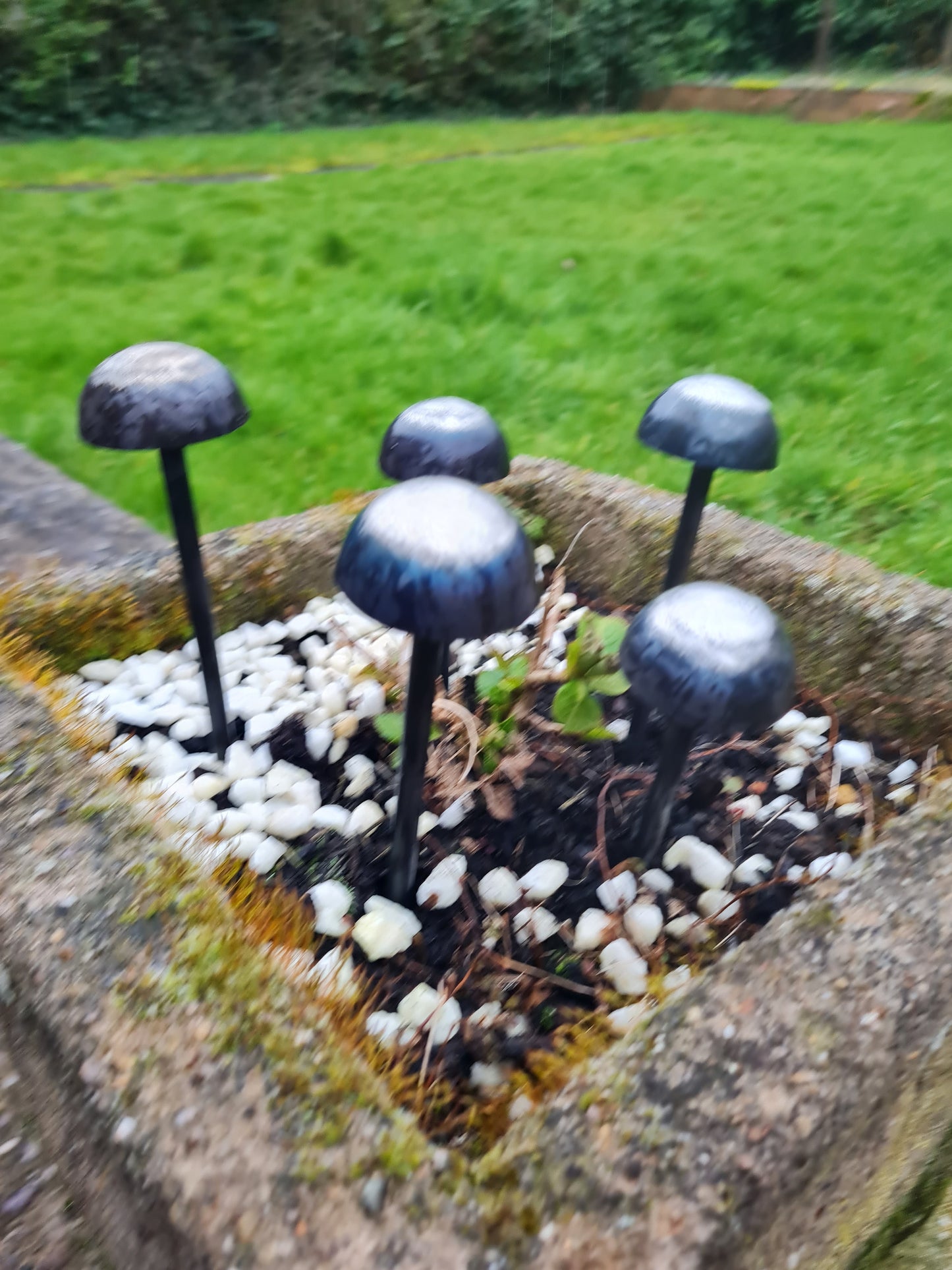 Rustic metal mushrooms set of 5